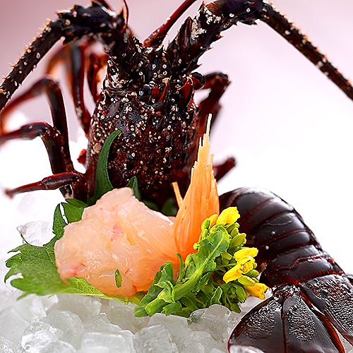 Live spiny lobster