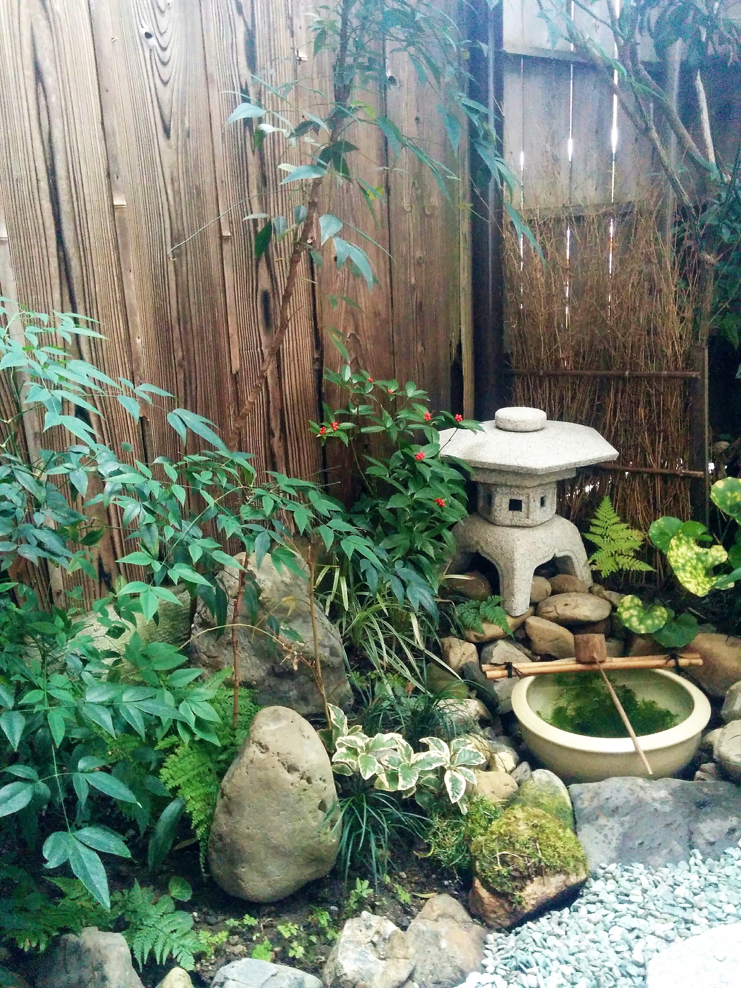 The front garden can be seen from the living room.