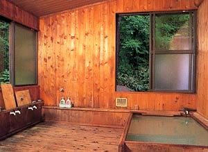 Suối nước nóng tự nhiên