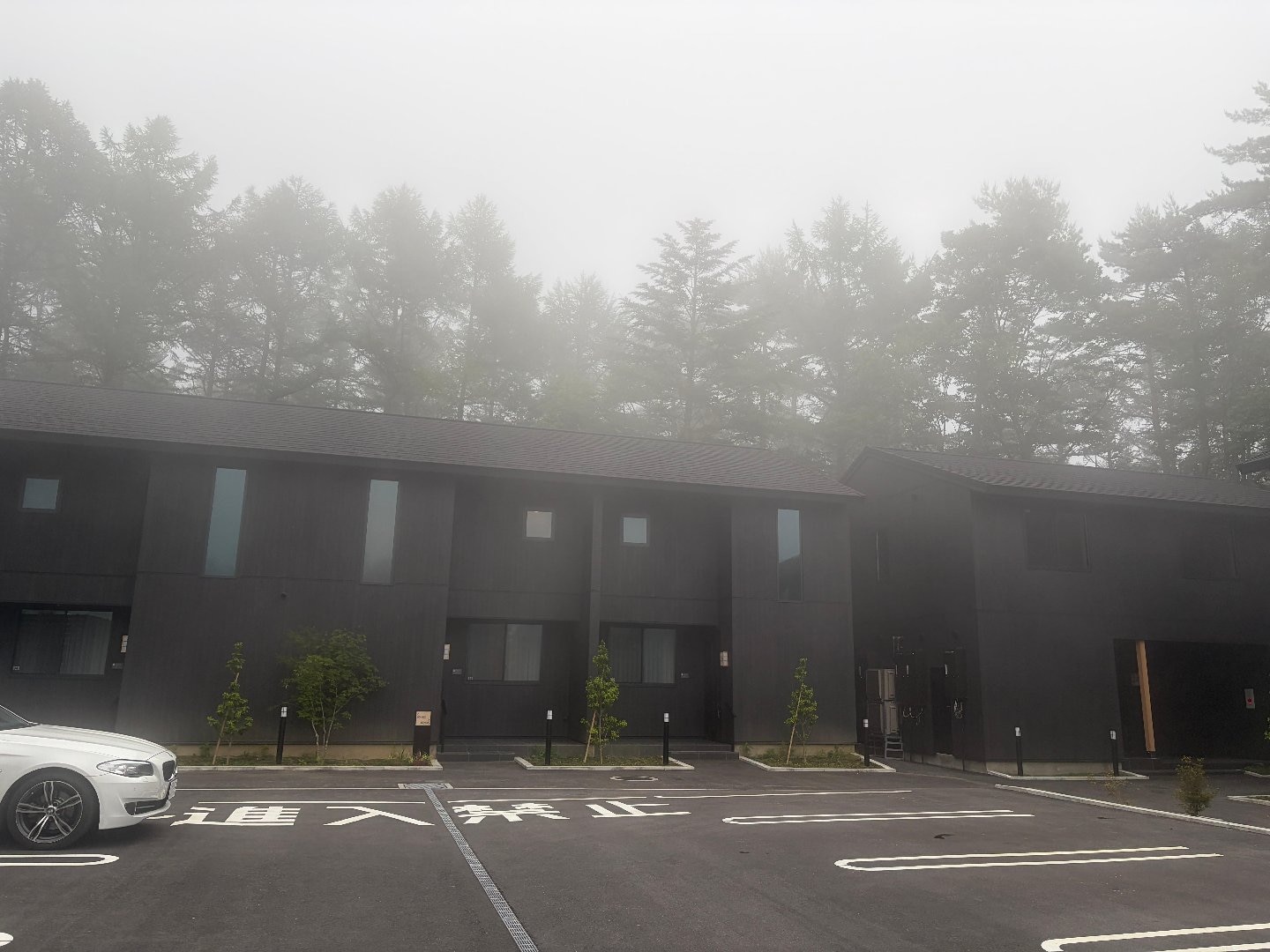 3011DDE2-FDCD-4756-8983-F11B1BAE2051.jpeg