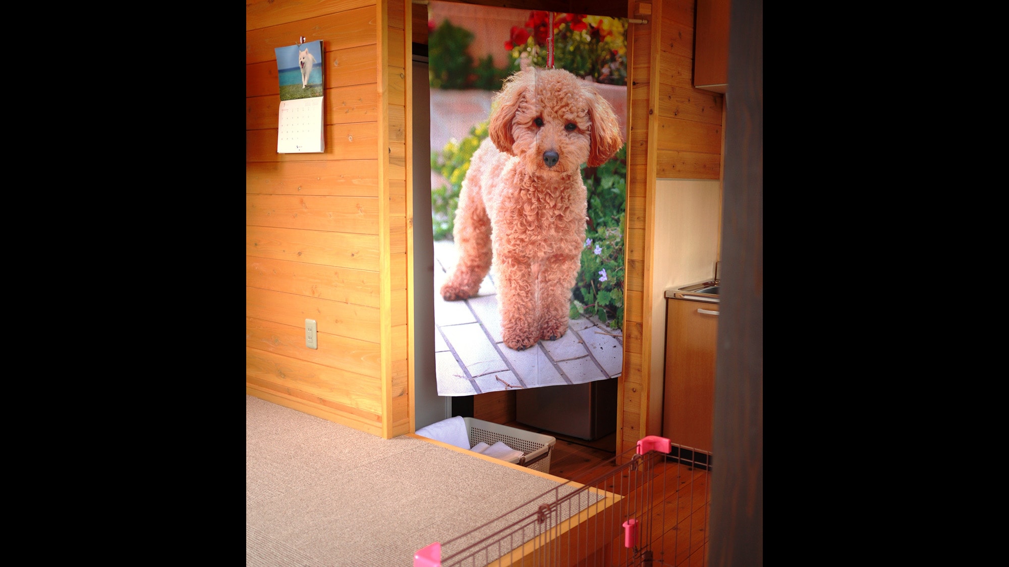 *[Room facilities] The room is inside after passing through a cute dog curtain…