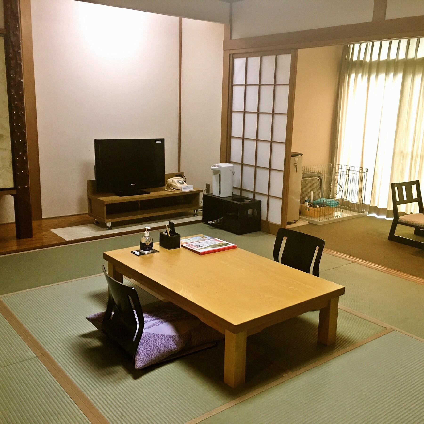 與愛犬在房間內用餐【日式房間10張榻榻米】