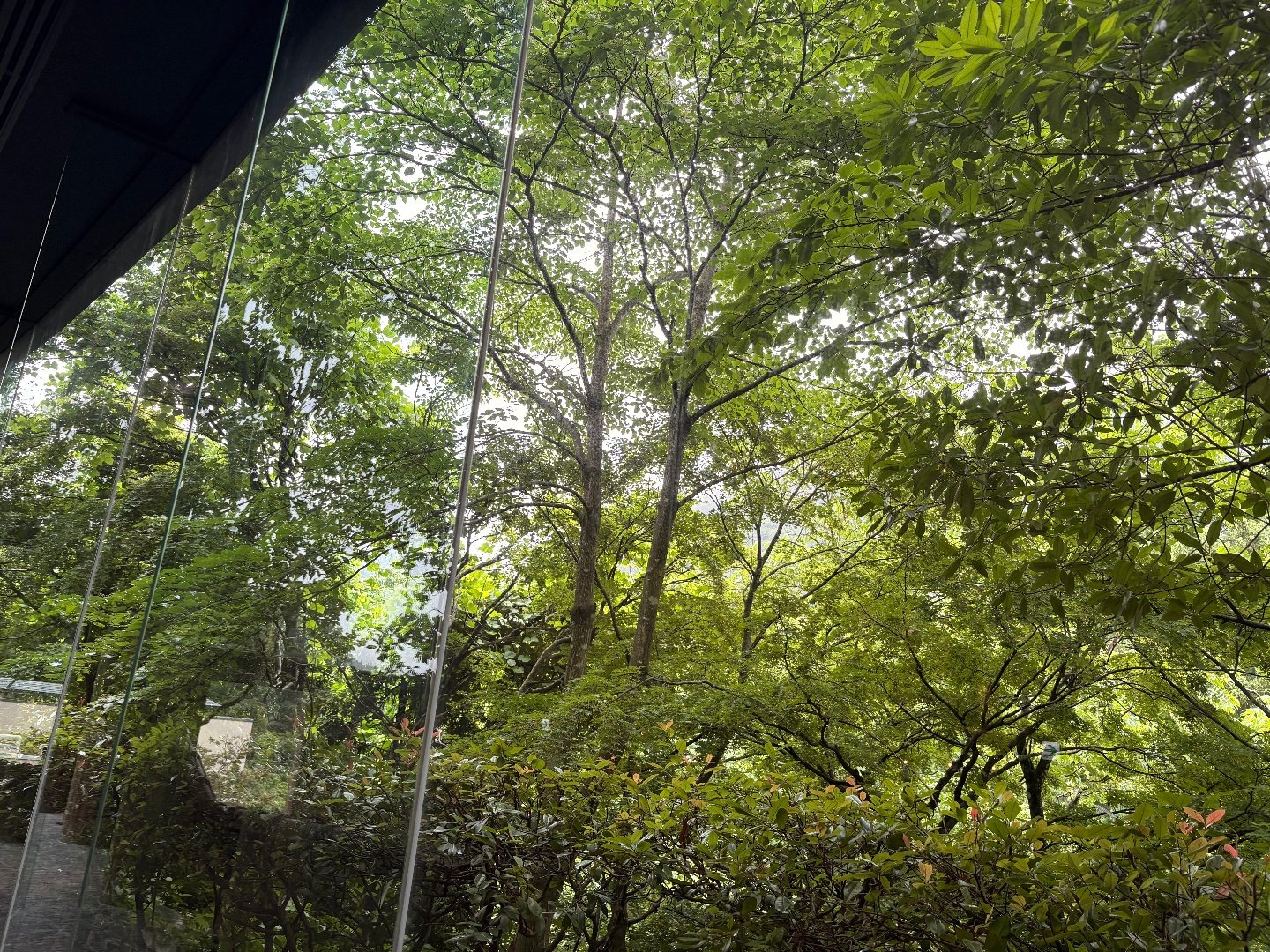 IMG_8112.jpeg