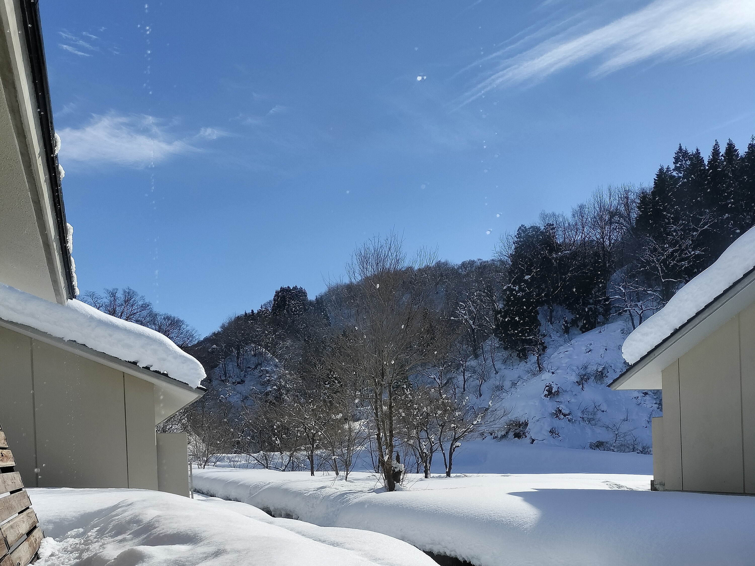 [ฤดูหนาว] ลานบ้าน