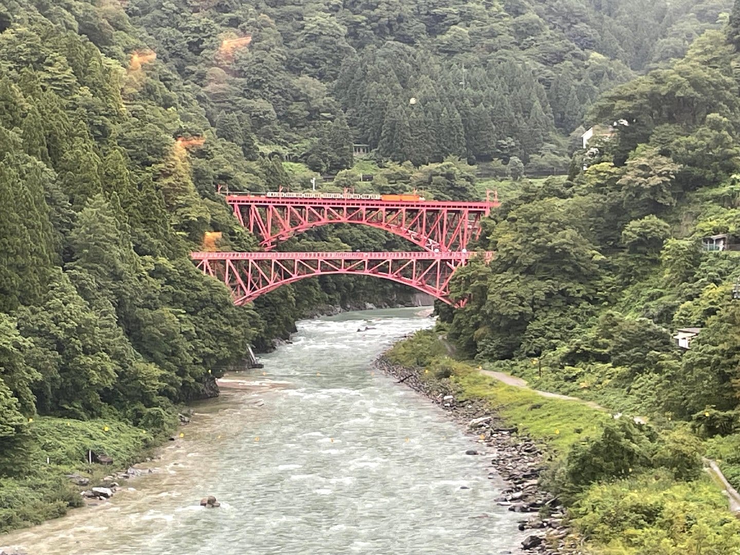3823C8C6-47B2-4301-A5AE-D7F08F0CA006.jpeg