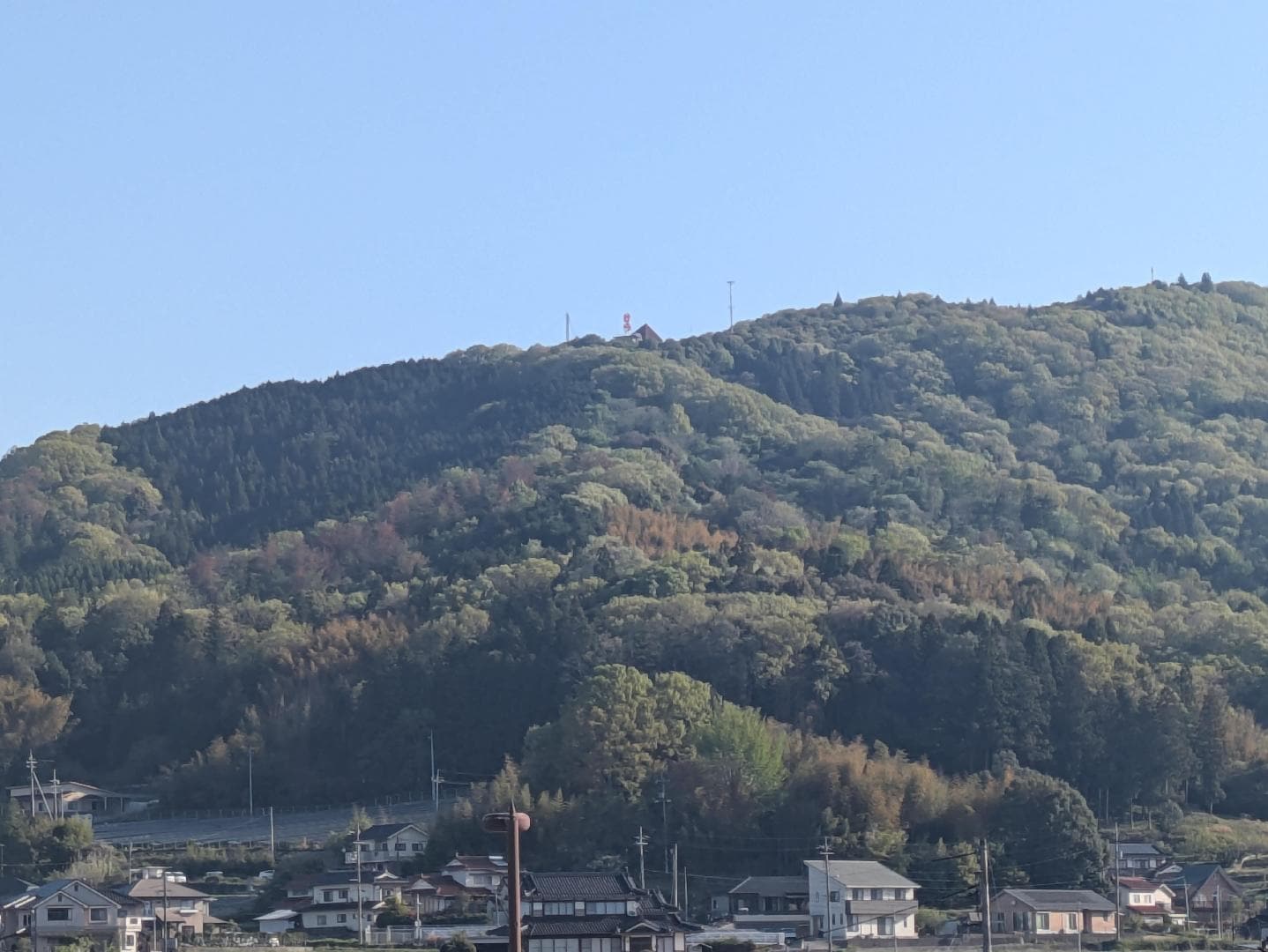 1000010377.jpg