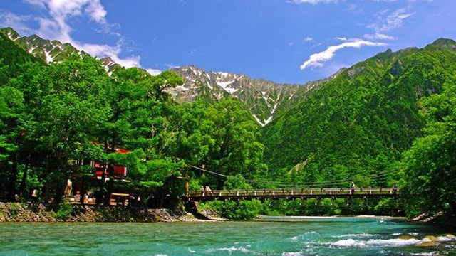 新鮮的綠色上高地