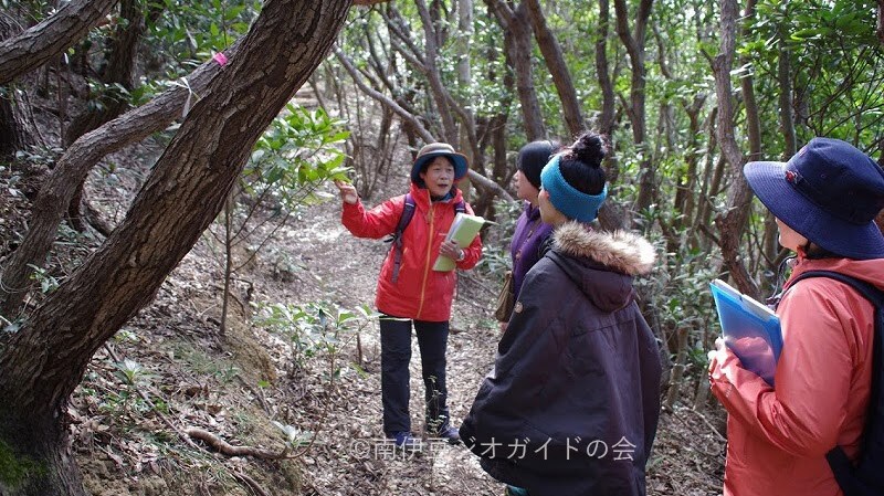 地質旅遊日及山路線