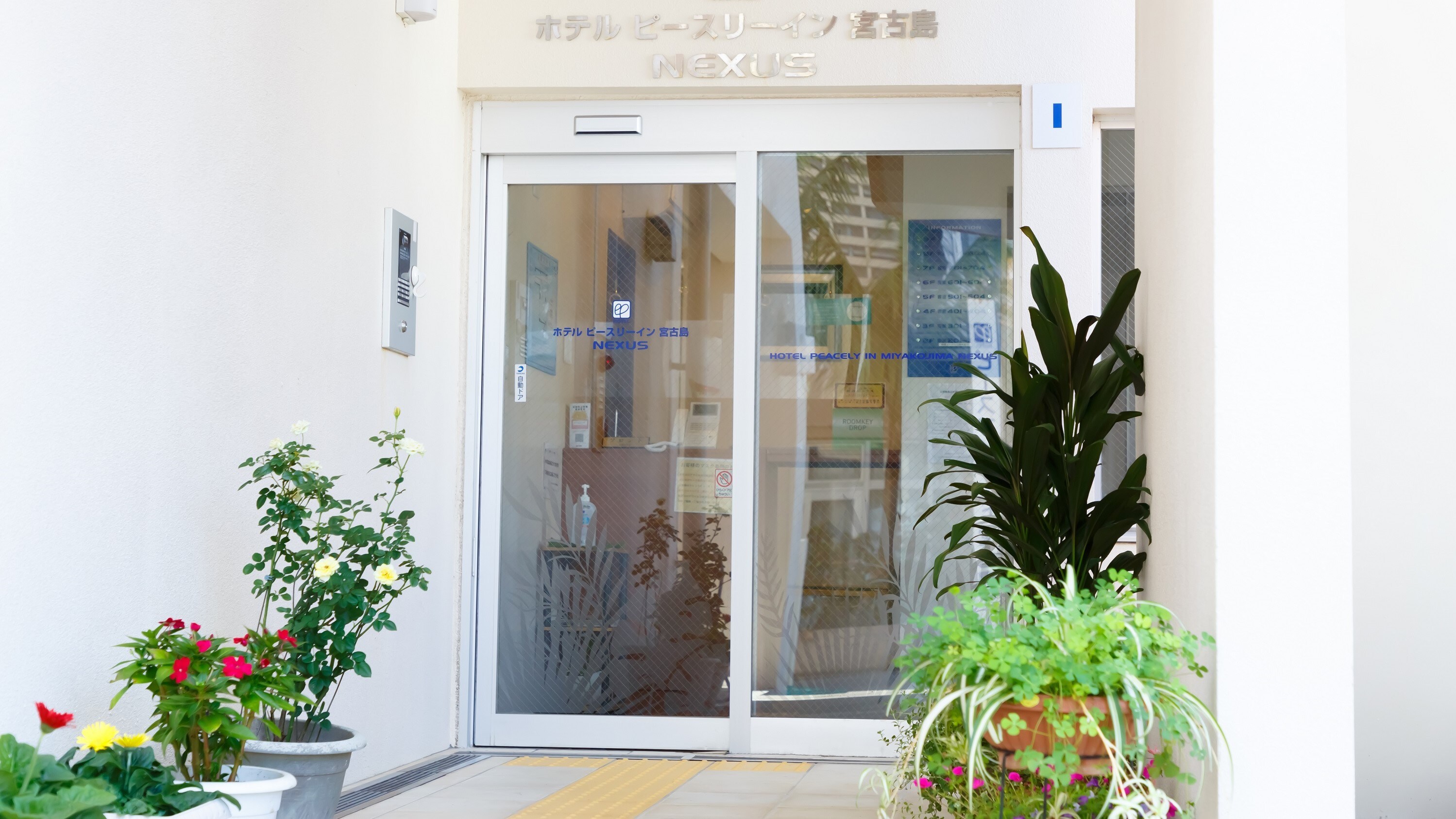 The entrance surrounded by bright greenery