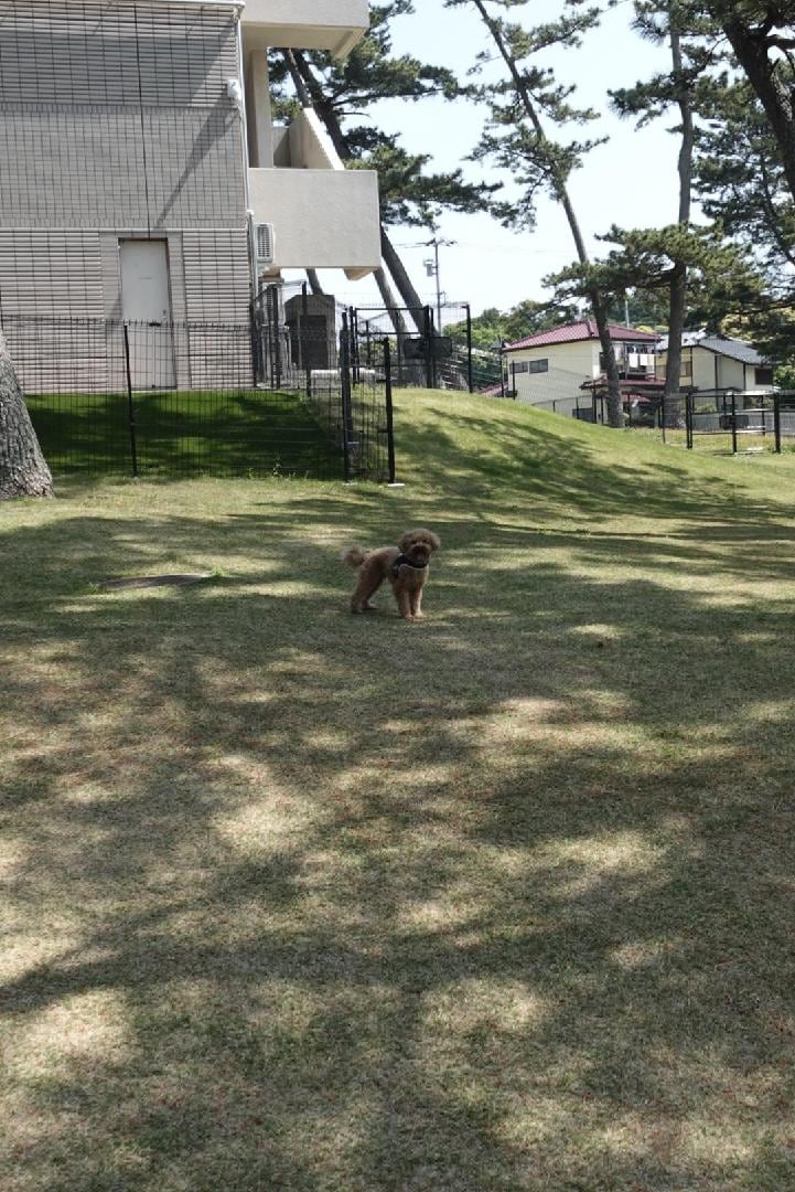 DSC00515.jpeg