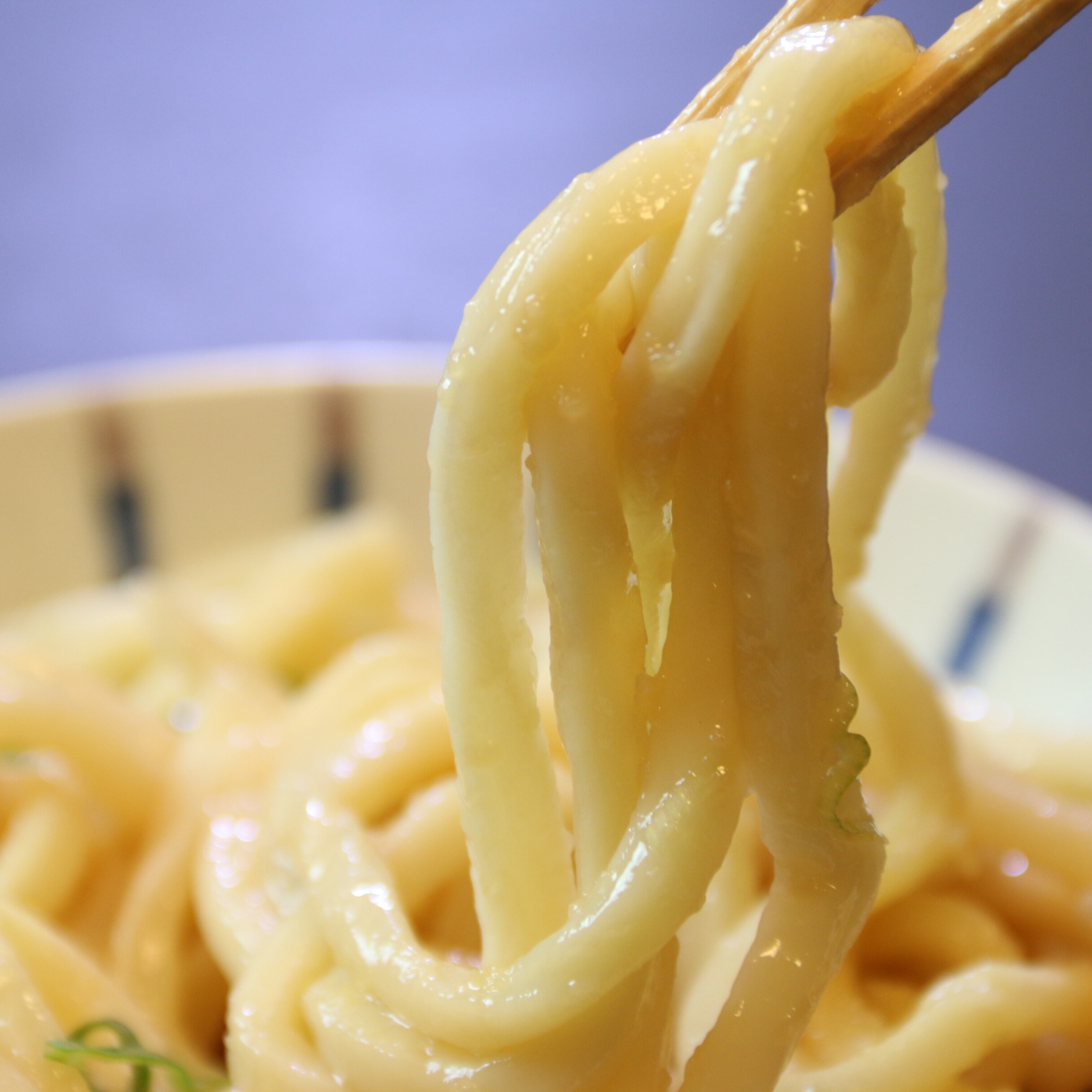 Sanuki Udon★ (Customize)