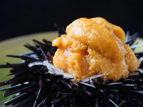 [Sea urchin] Freshly caught sea urchin has the scent of rocky shore and umami.