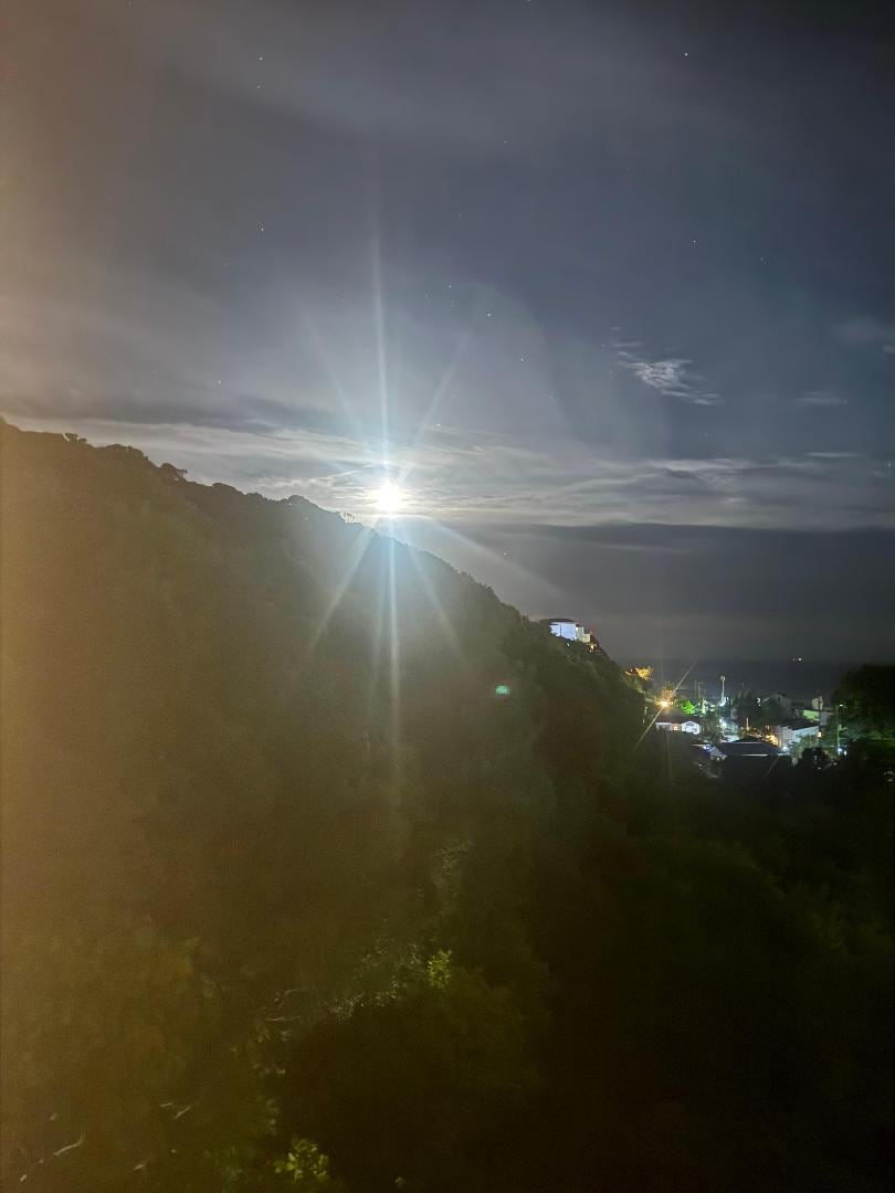 1009D8BF-C9B2-4370-AC0B-467152FE5AAB.jpeg