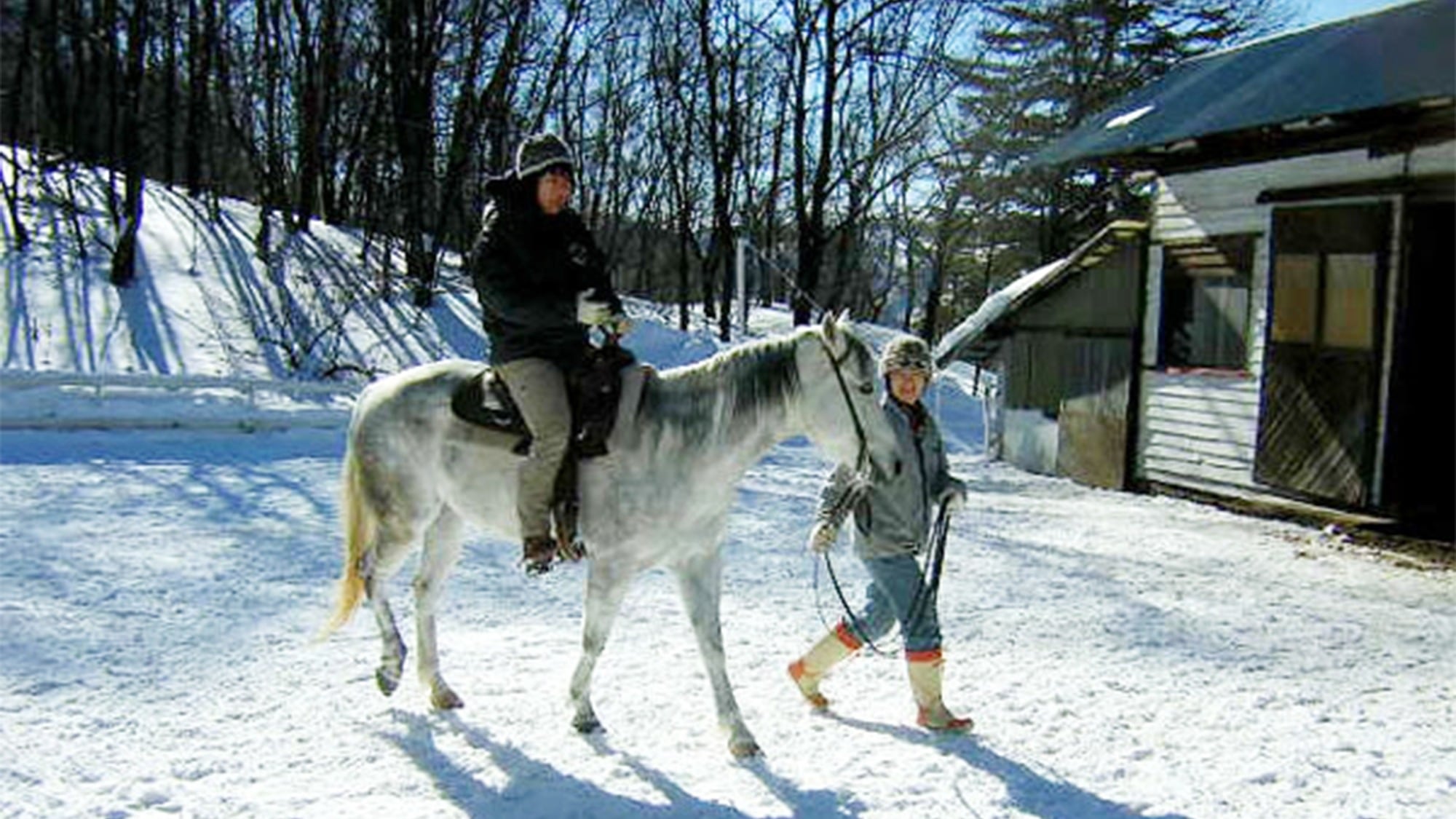 ・Children and beginners can also enjoy horse riding!