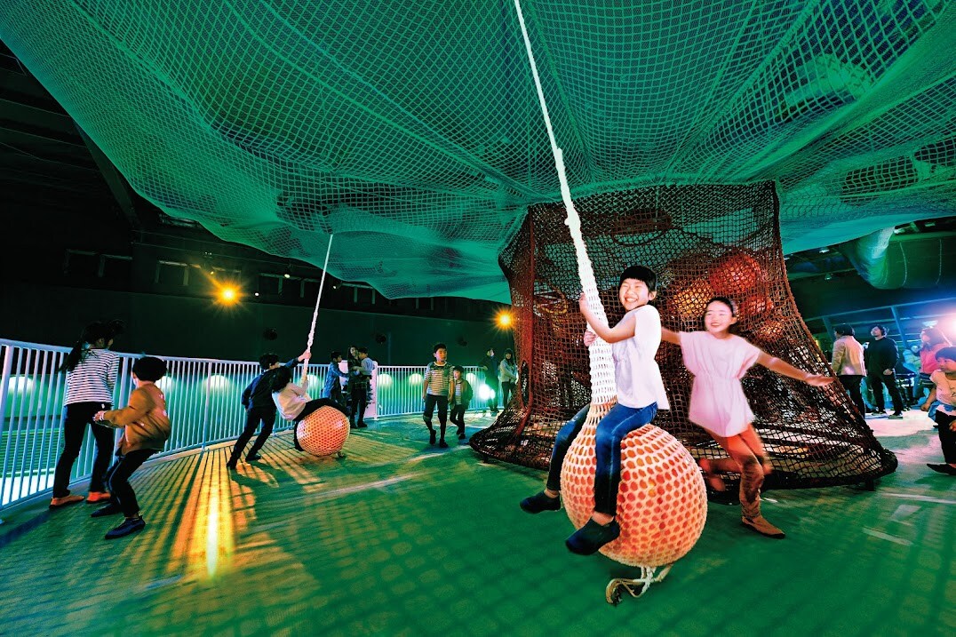 Giant Net Forest SUMIKA