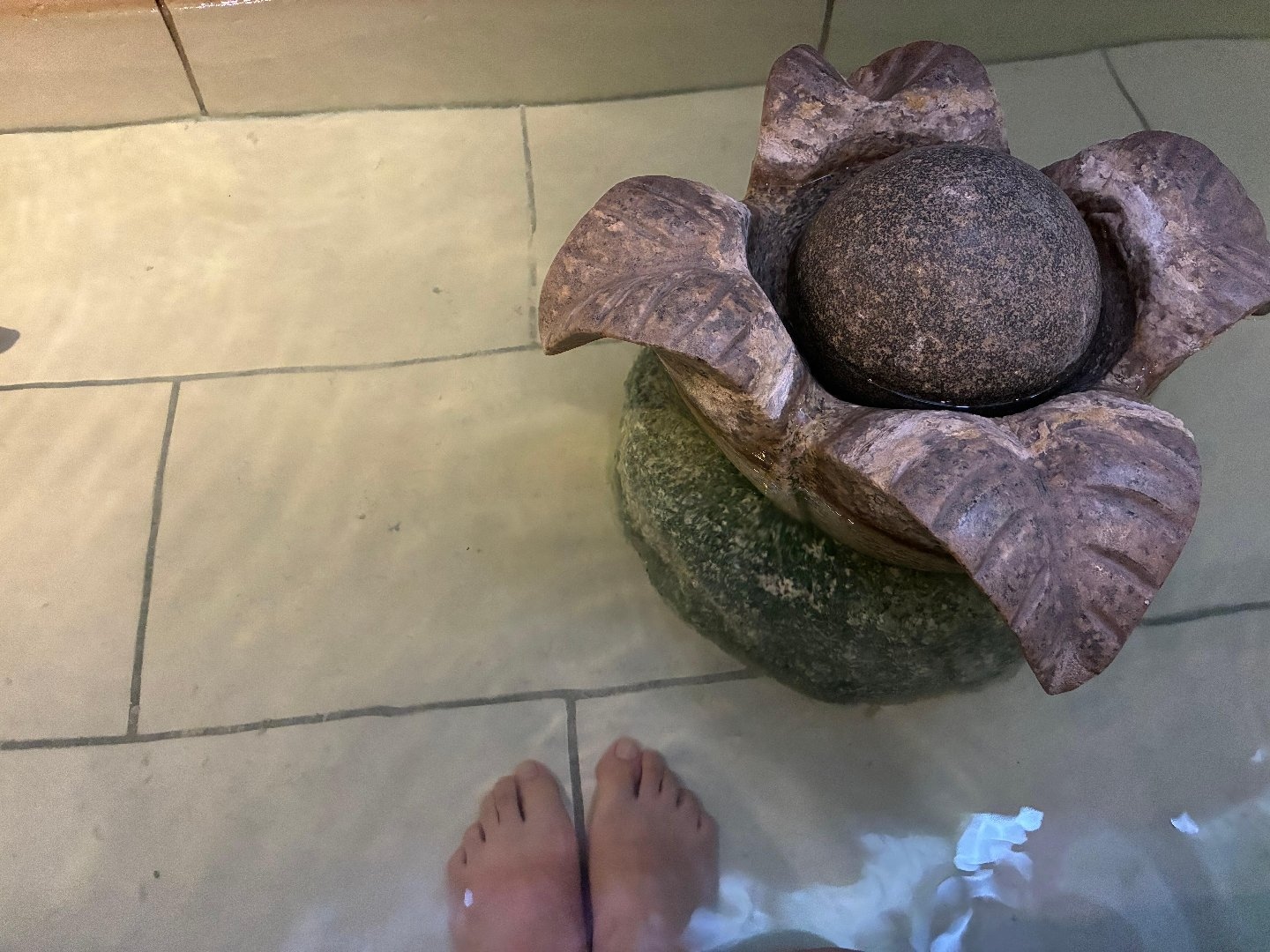 IMG_0488.jpeg
