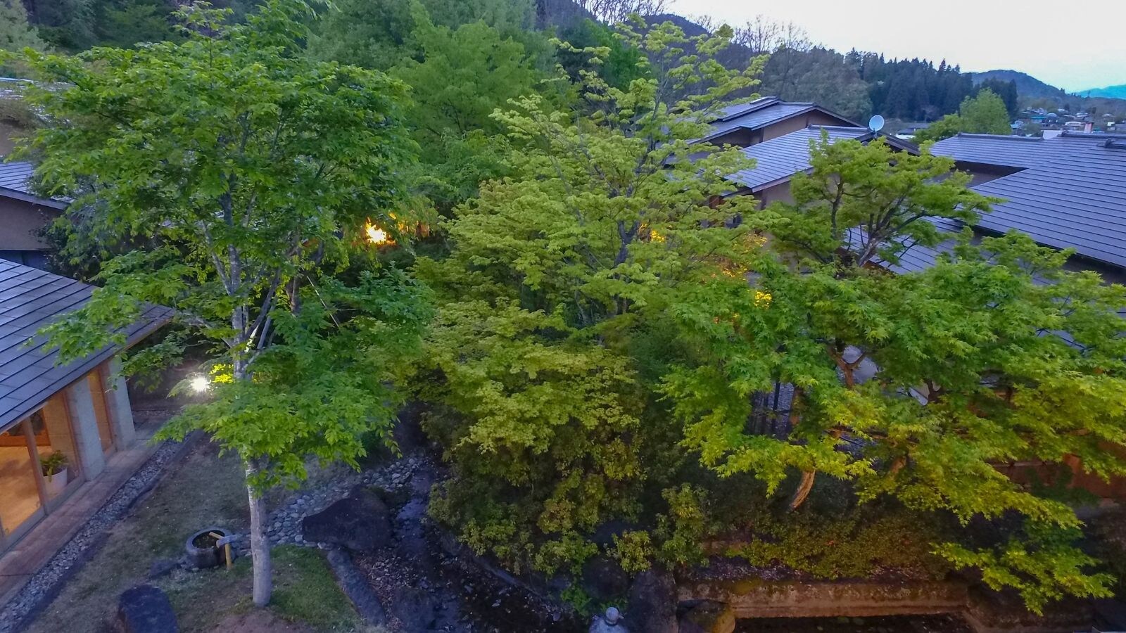 【黄昏时分绿意盎然的庭院】在绿树环绕的庭院里，黄昏的灯光温柔地照亮了空间。