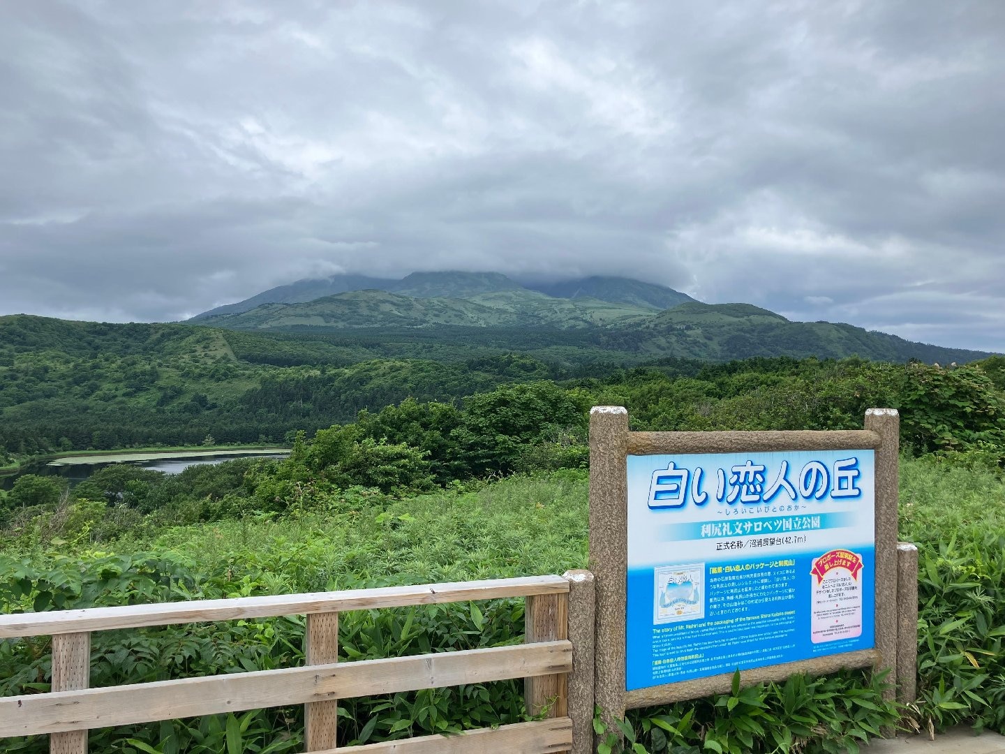 IMG_4199.jpeg
