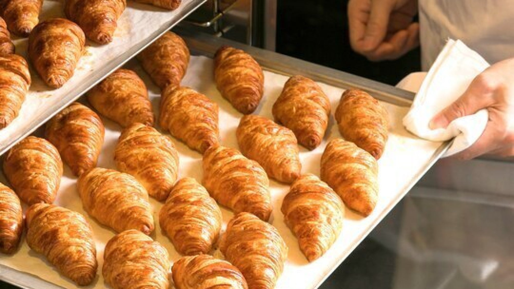 Freshly baked croissants