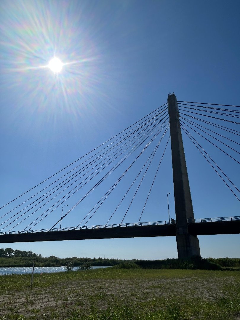 IMG_7637.jpeg