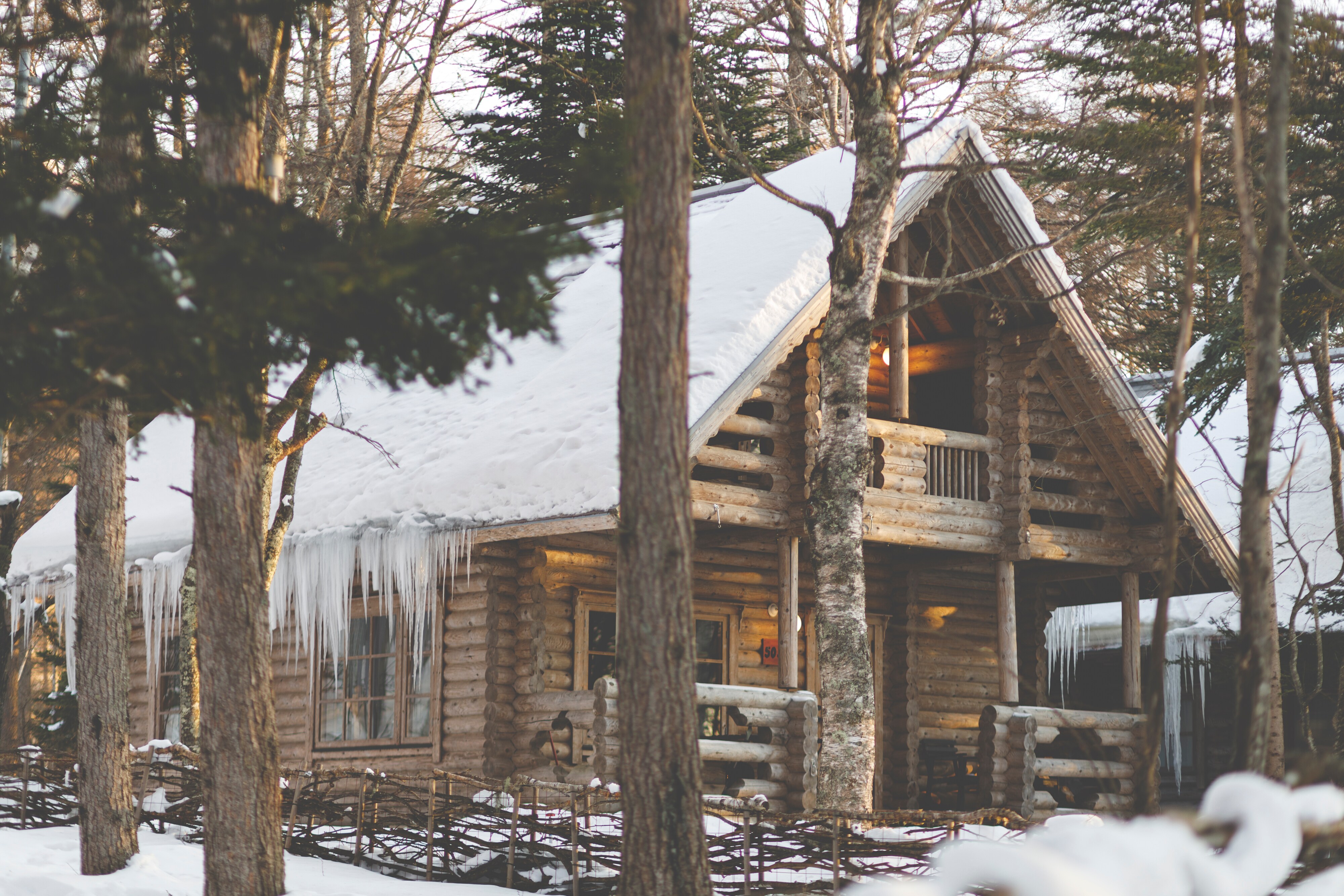 Log cottage winter