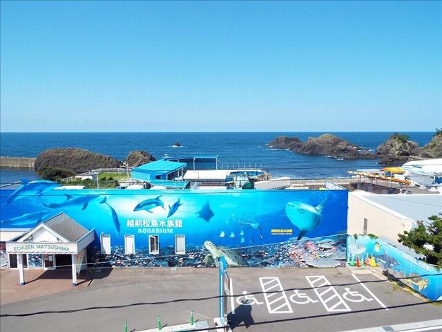 1 minute walk to Echizen Matsushima Aquarium