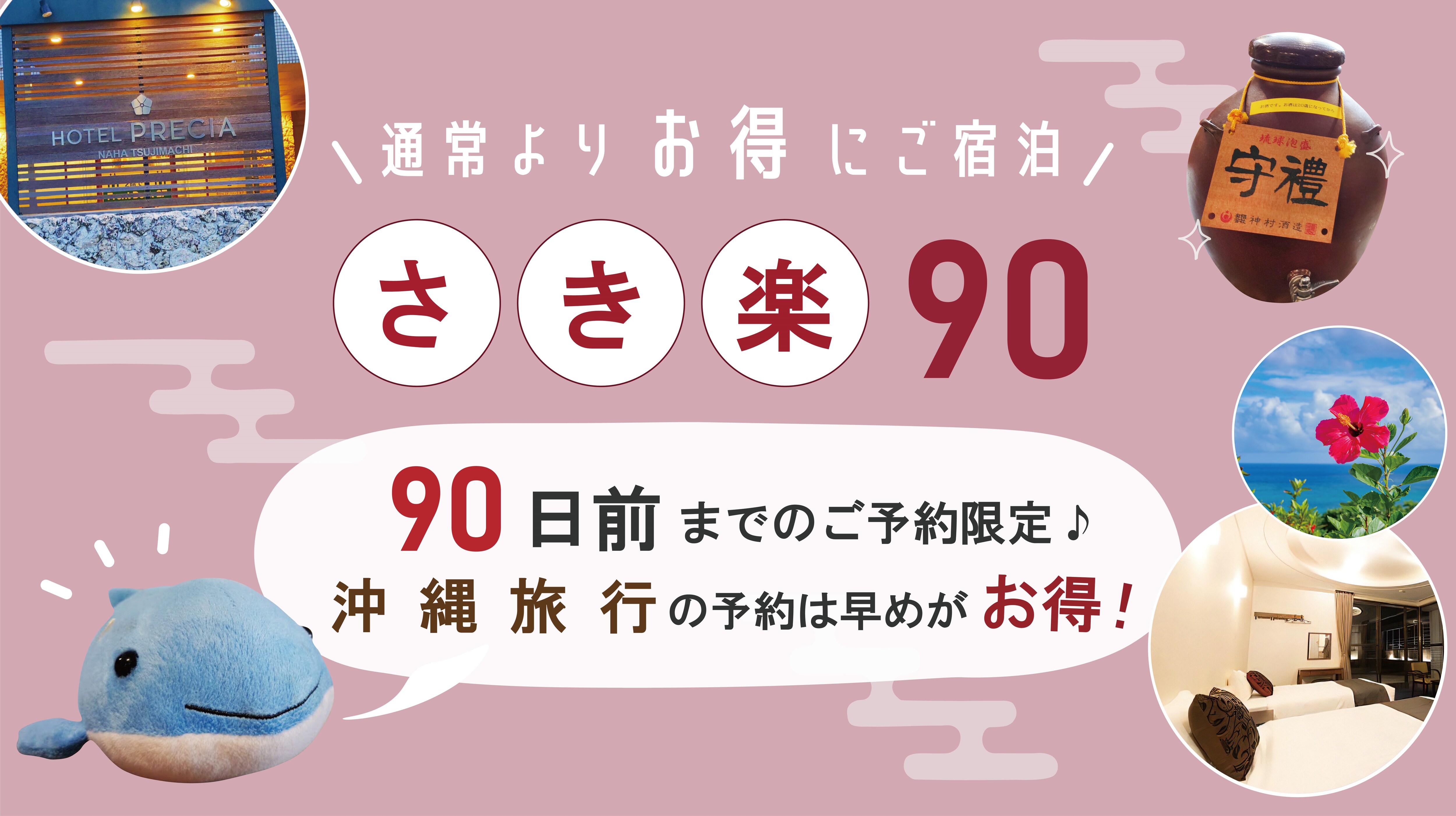 A plan limited to reservations made up to 90 days in advance.