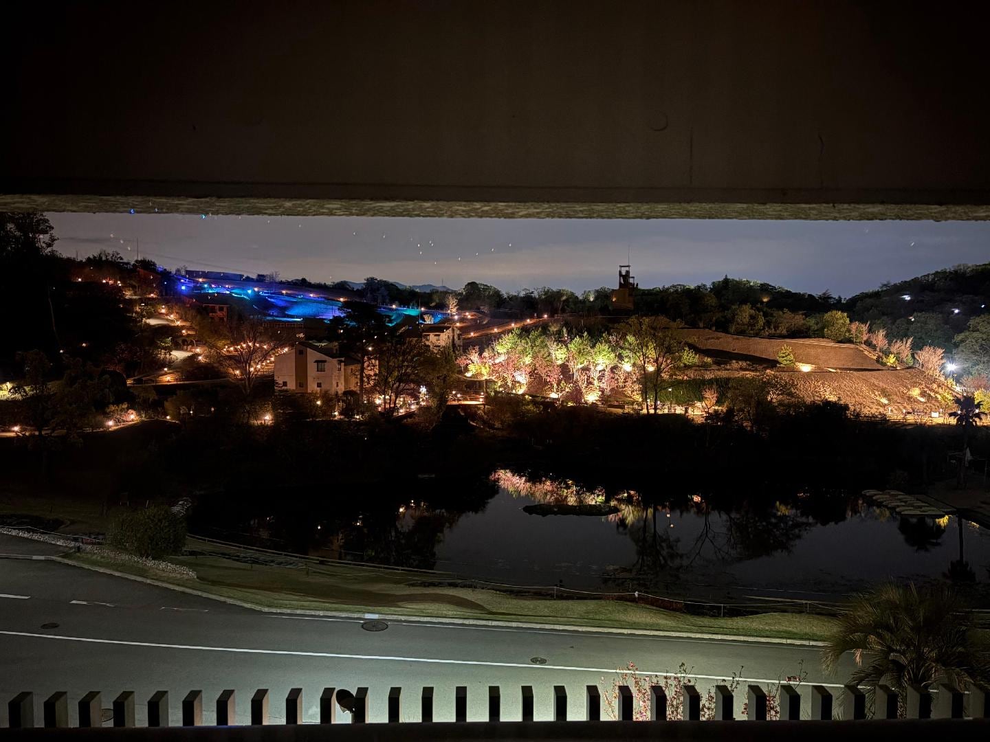 IMG_5989.jpeg