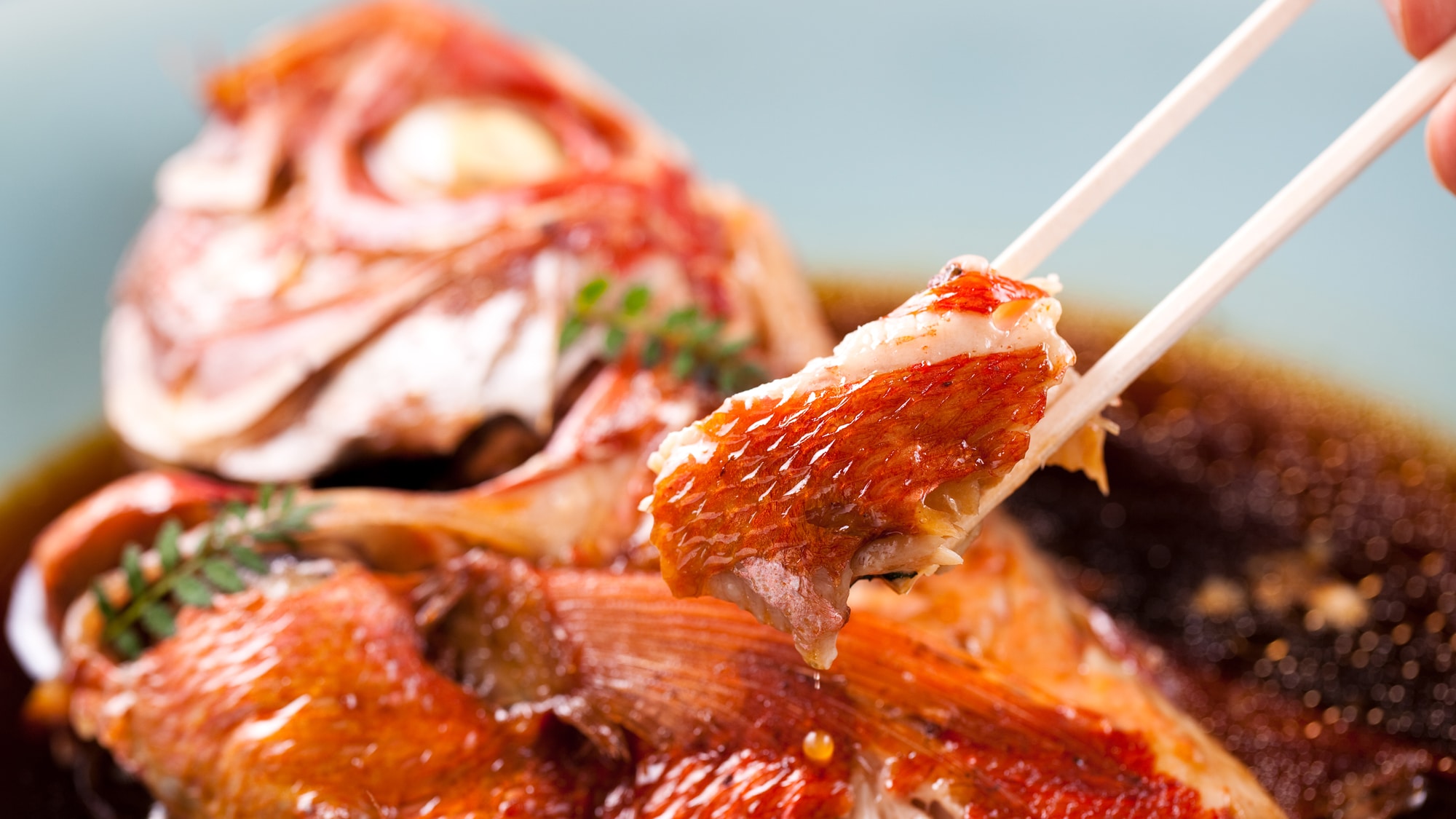 Whole boiled golden-eyed snapper
