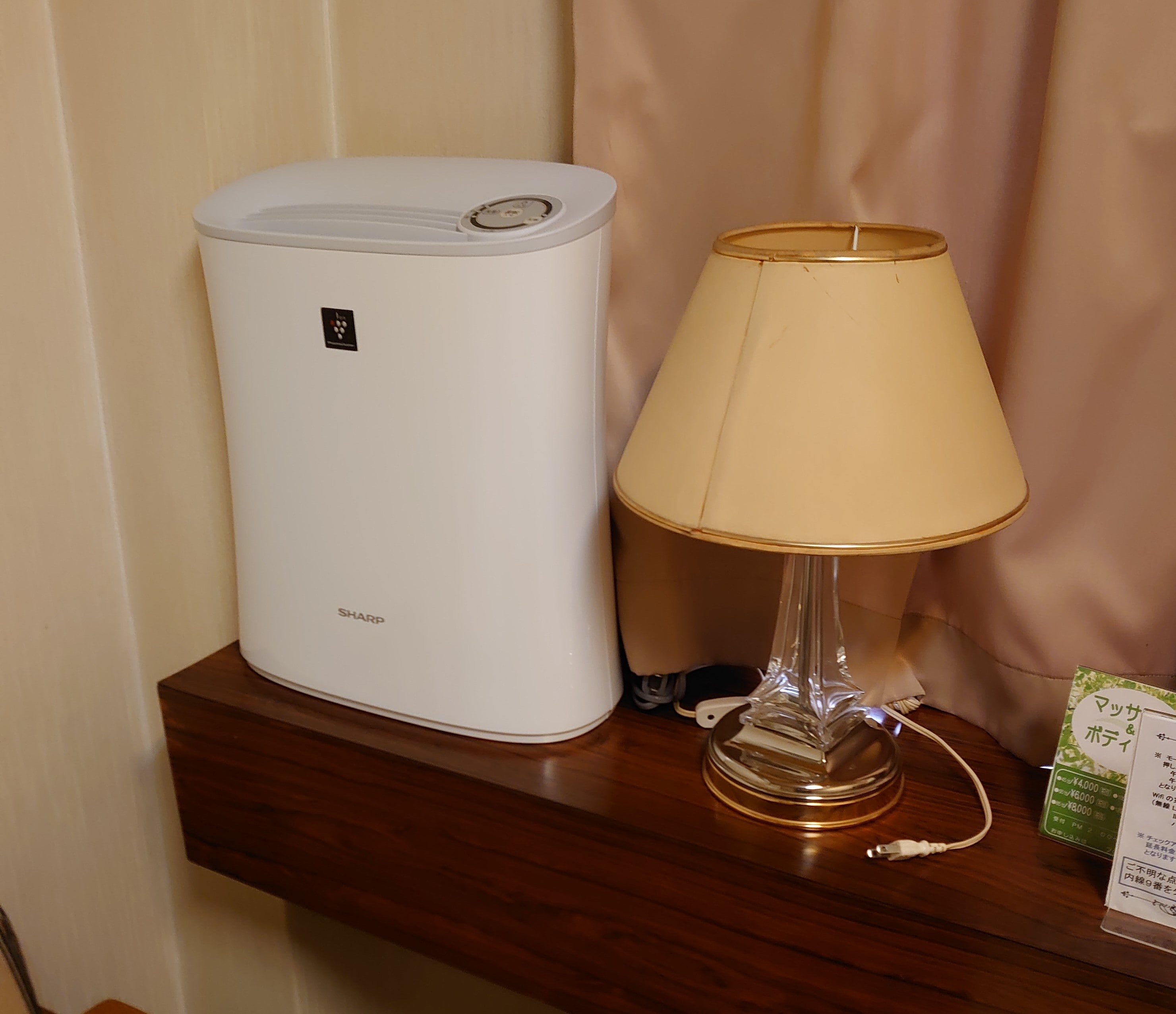 Single room with semi-double bed and air purifier