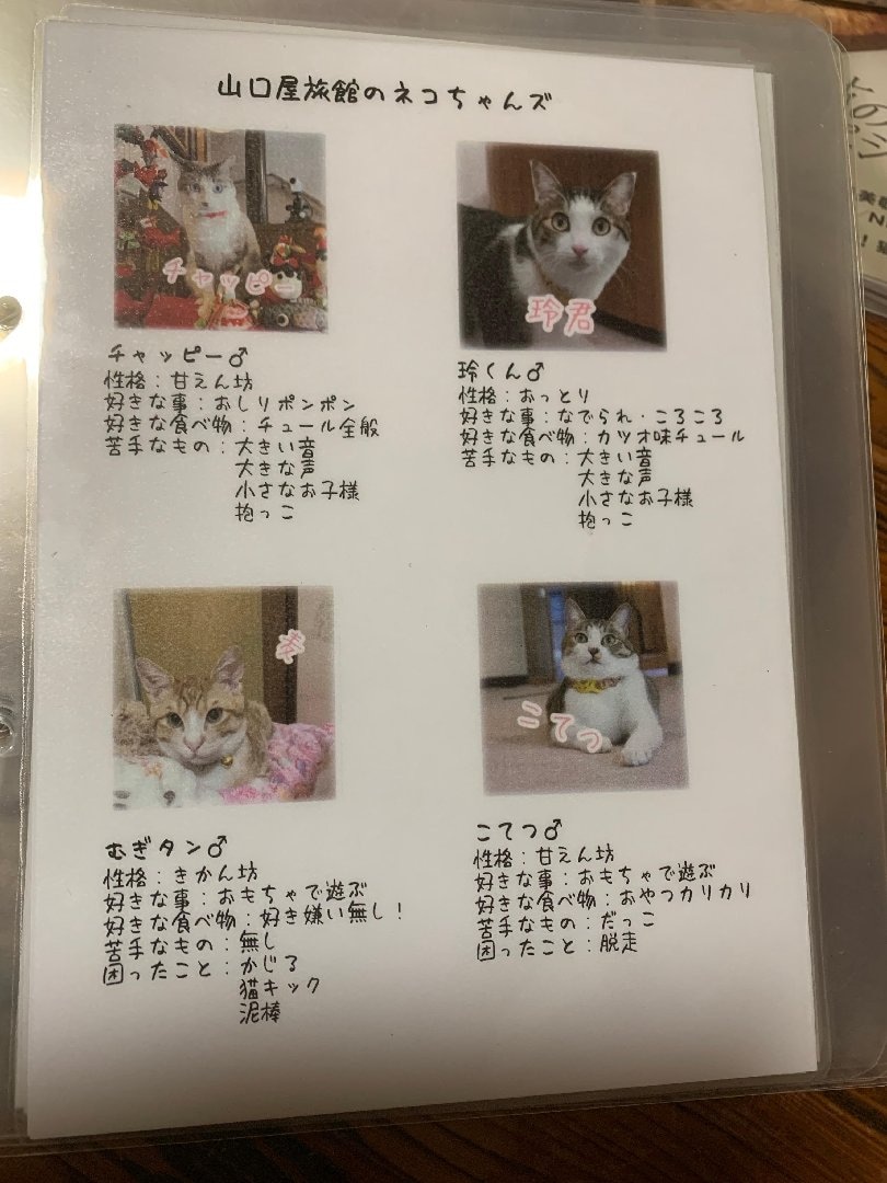 5E2D9D56-EB6B-417A-A1DD-BC0D30EC2193.jpeg