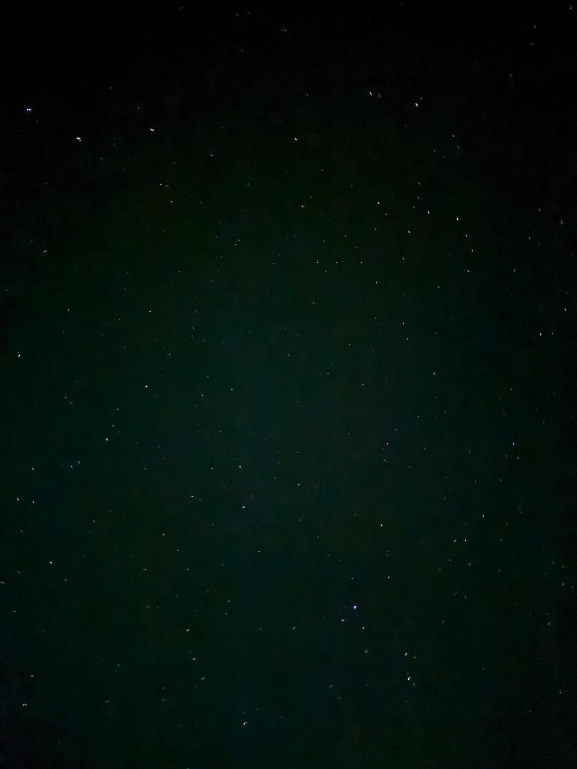 IMG_3830.jpeg