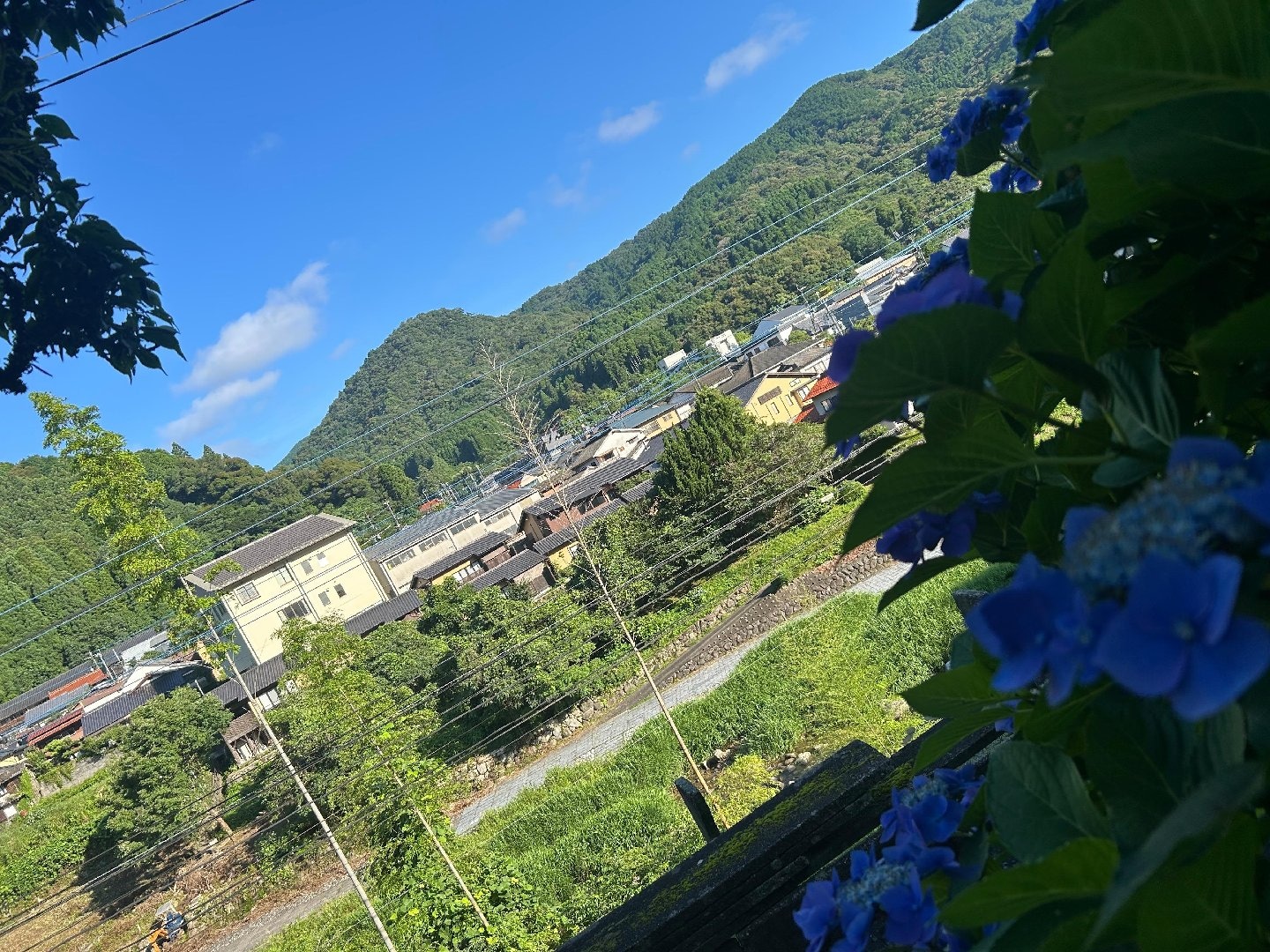 266EBA70-B6F6-4557-BA8F-F0F8818BFB61.jpeg