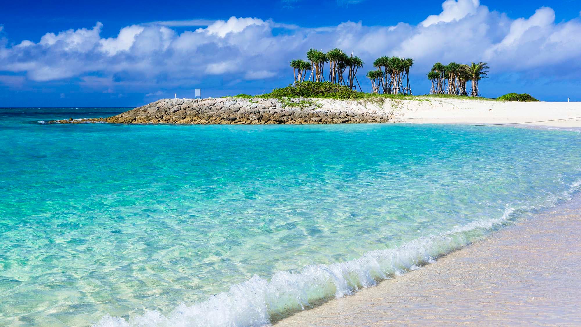 【翡翠海灘】步行5分鐘以內。在美麗海水族館所在的海洋白公園內。