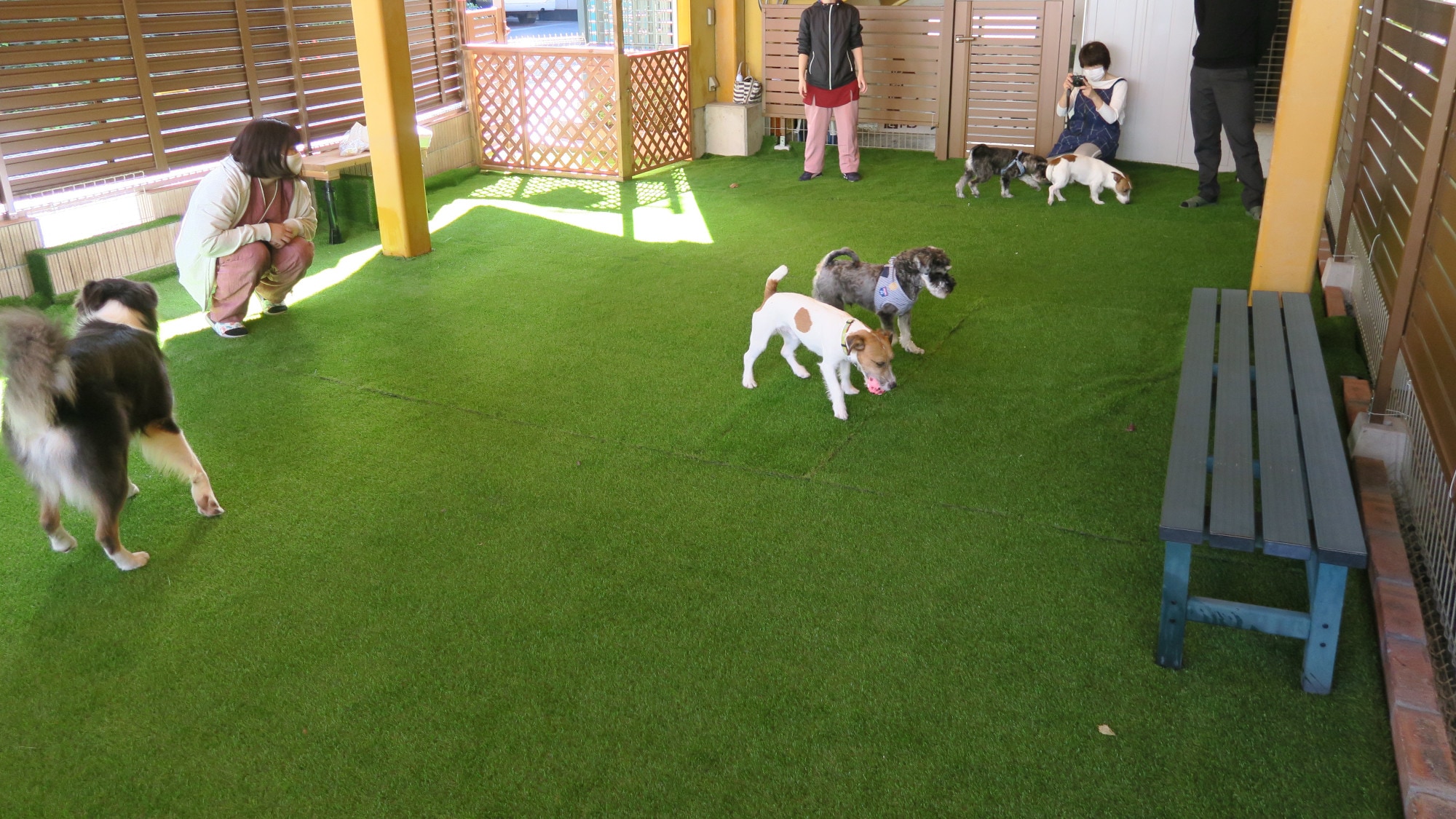 [All-weather indoor dog run]