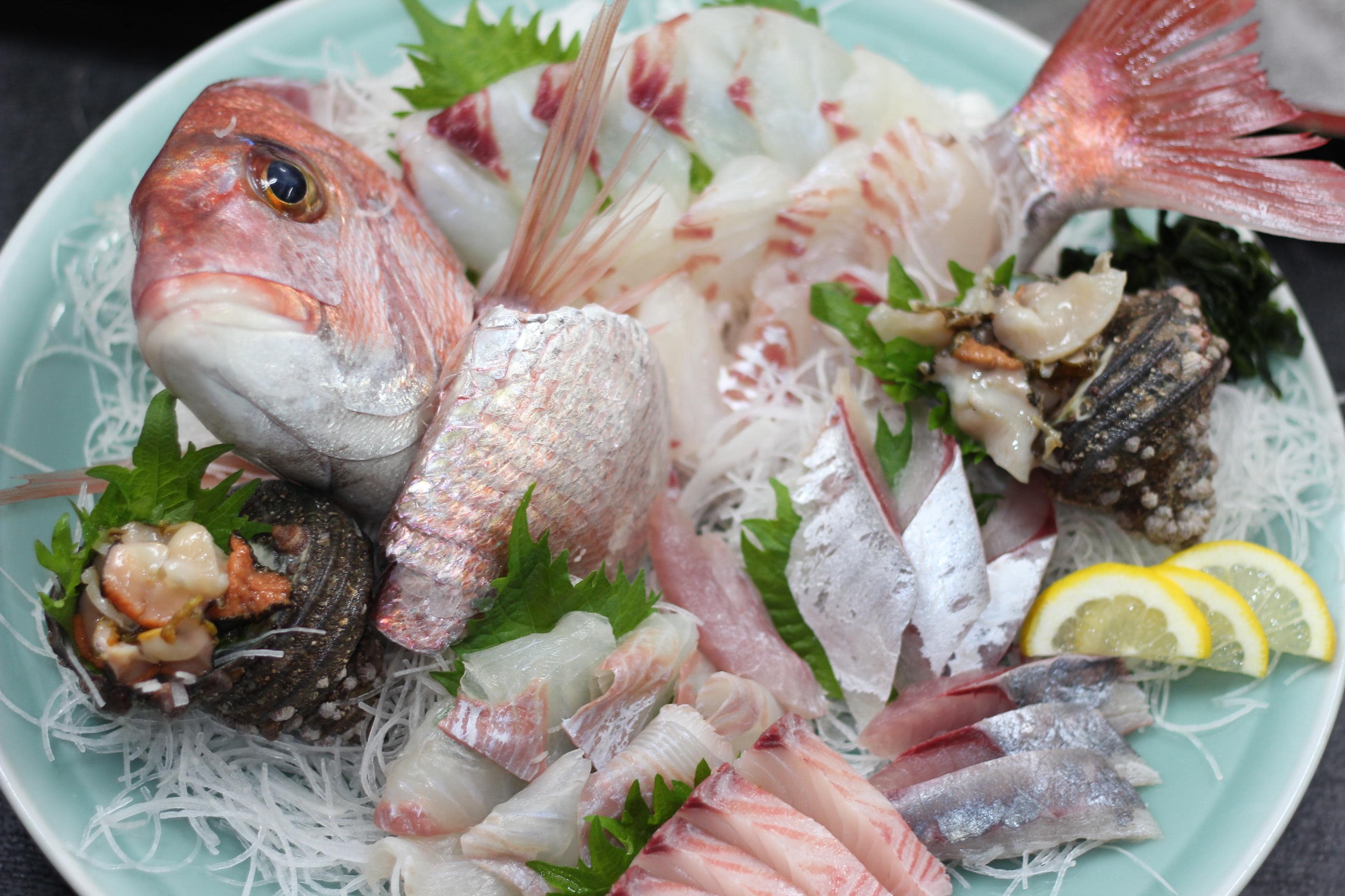 各式當季魚類