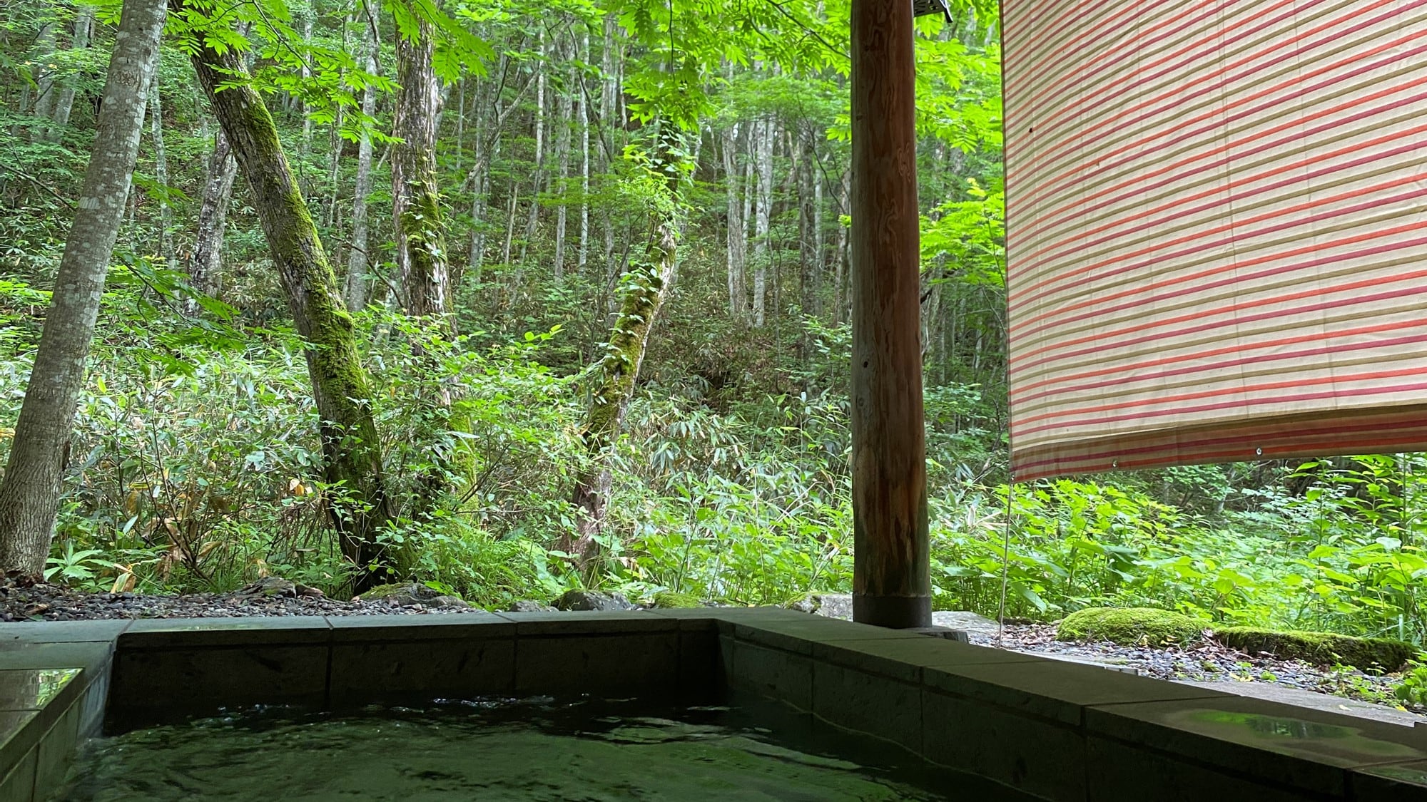 View from the open-air bath