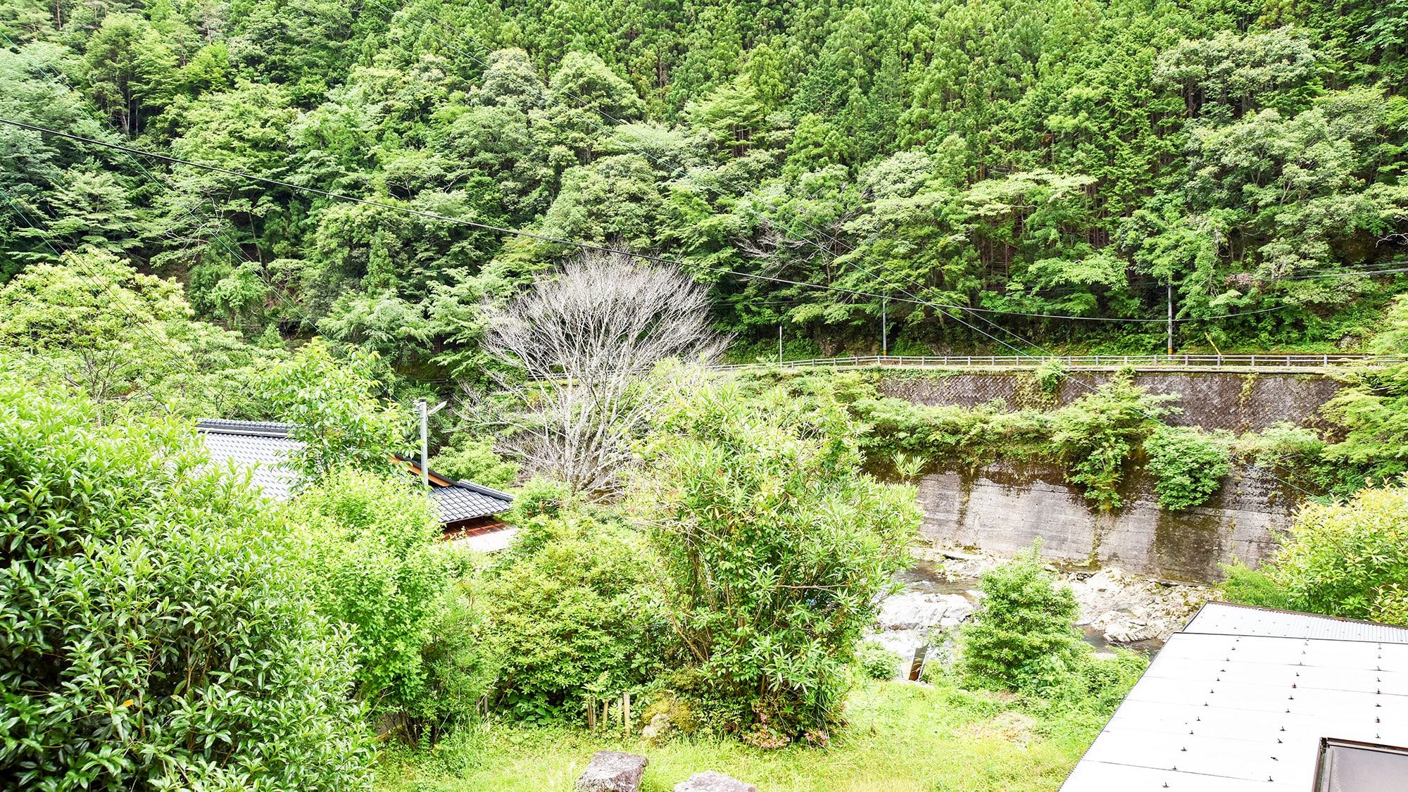 ** [日式房间 12张榻榻米] 房间景观
