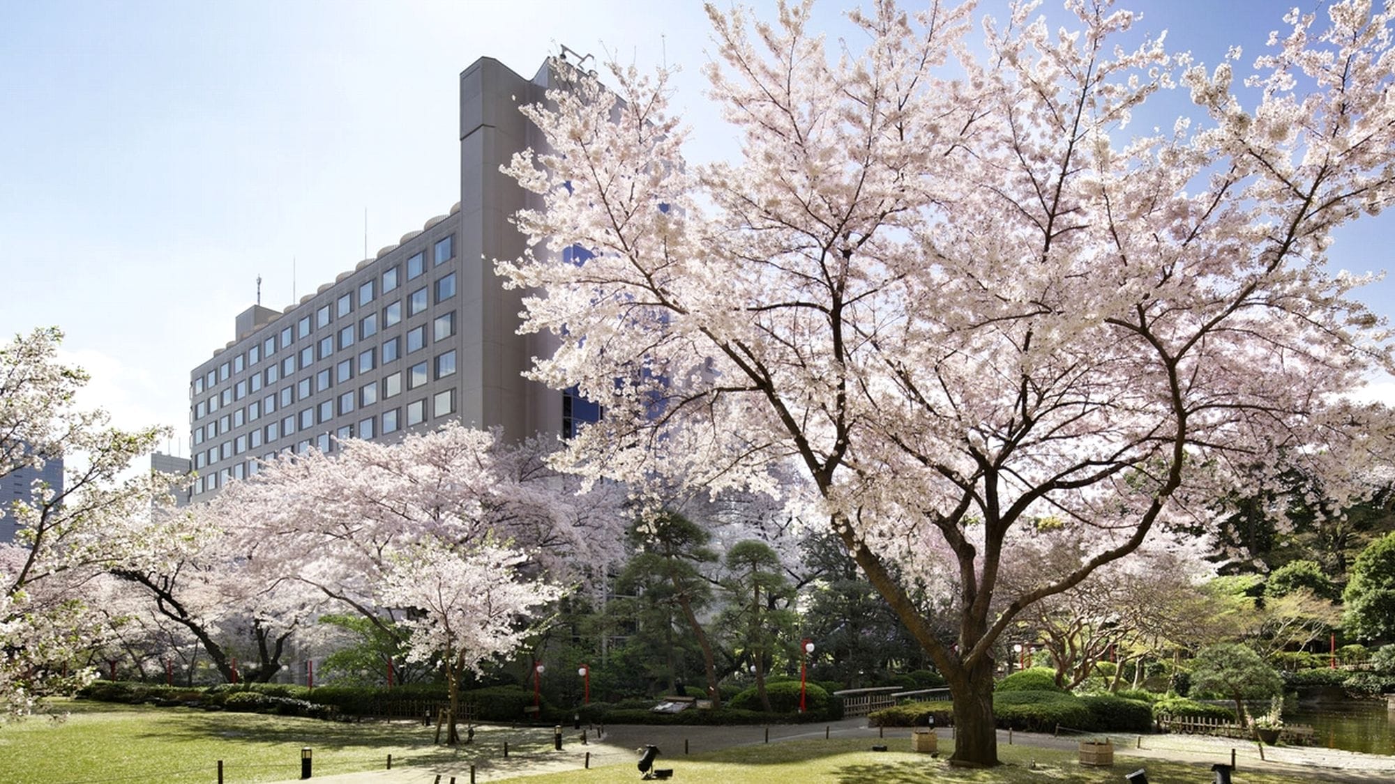 春には色鮮やかな桜が花開きます。