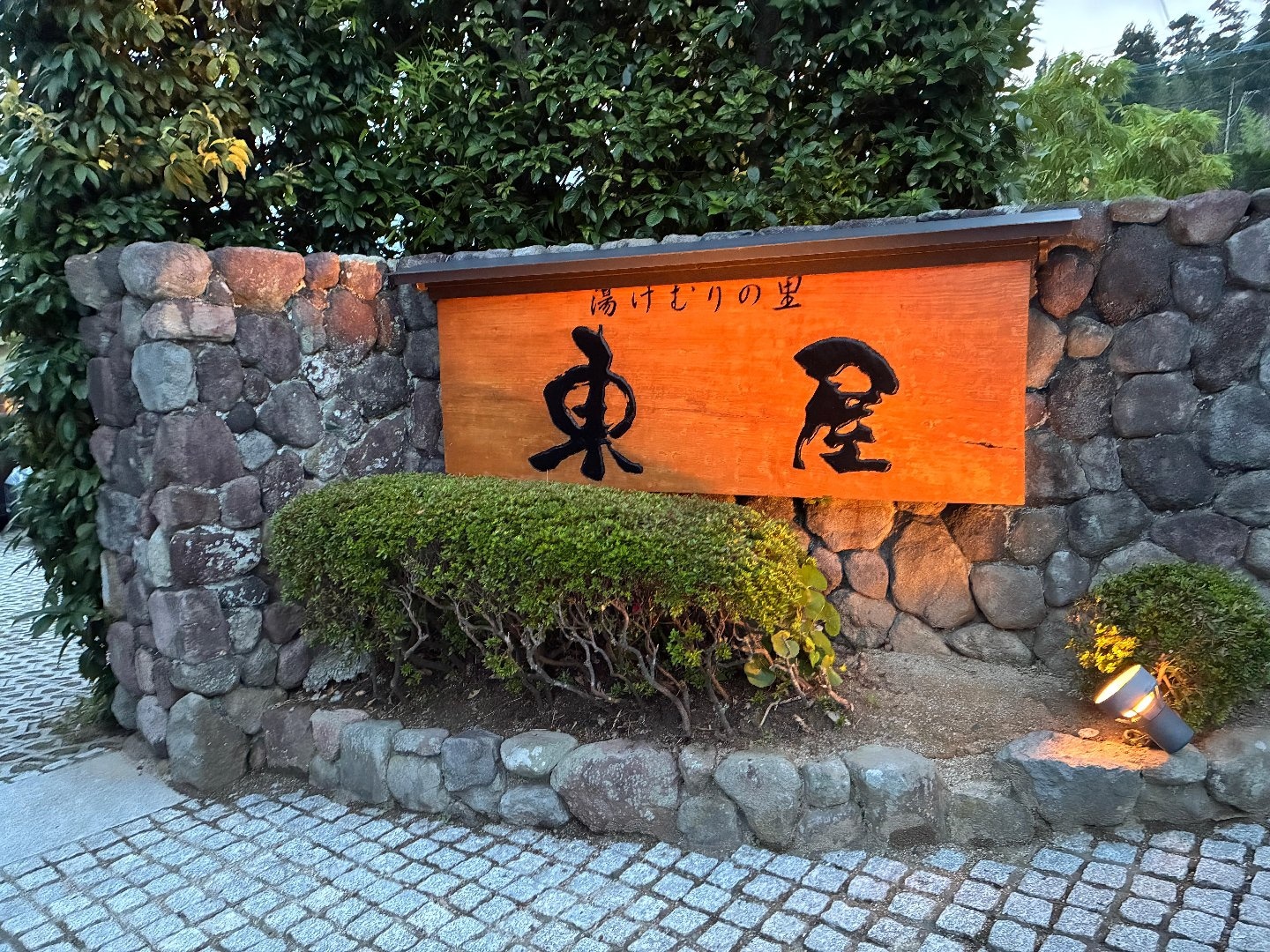 DE1992E7-EC54-4E09-B921-961F7F3D2B90.jpeg