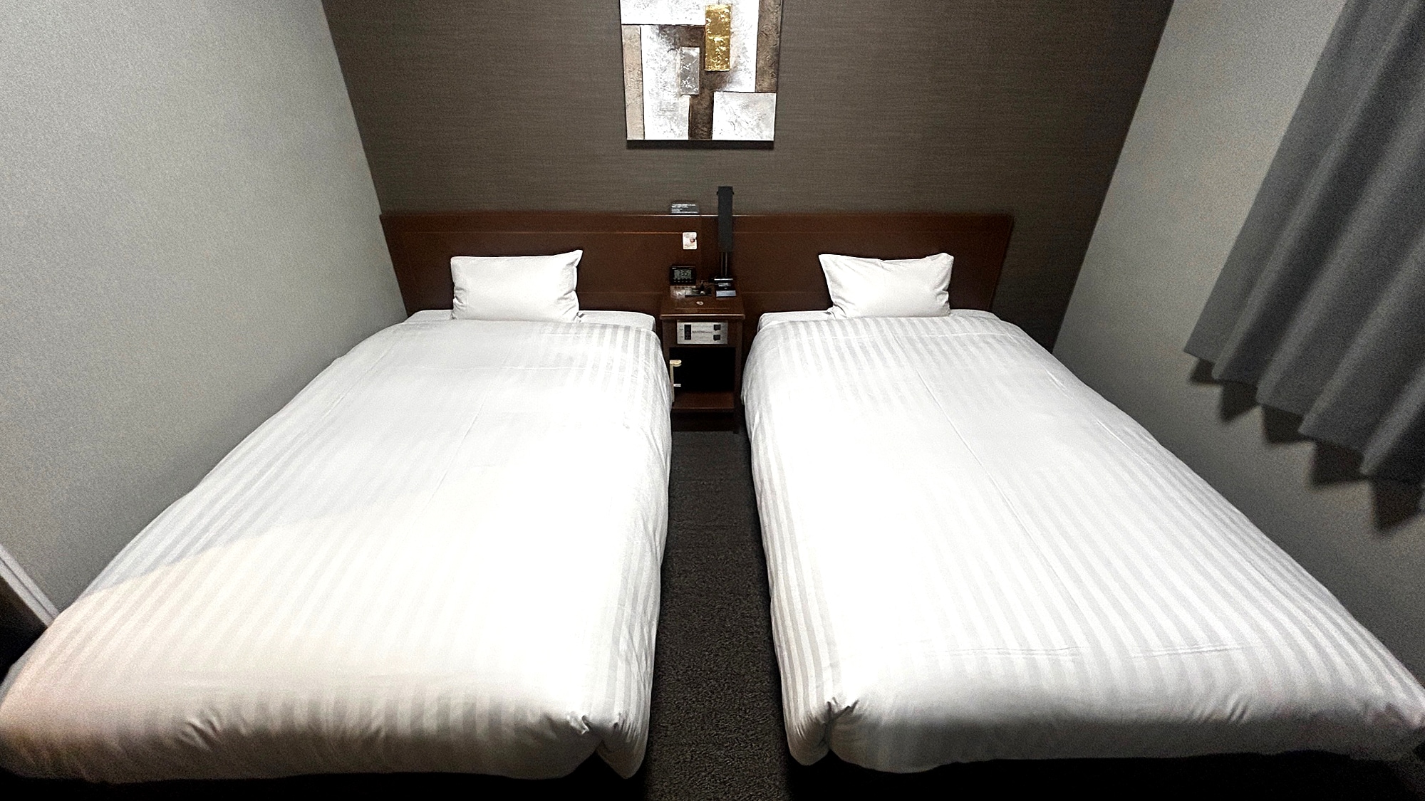 Non-smoking twin room