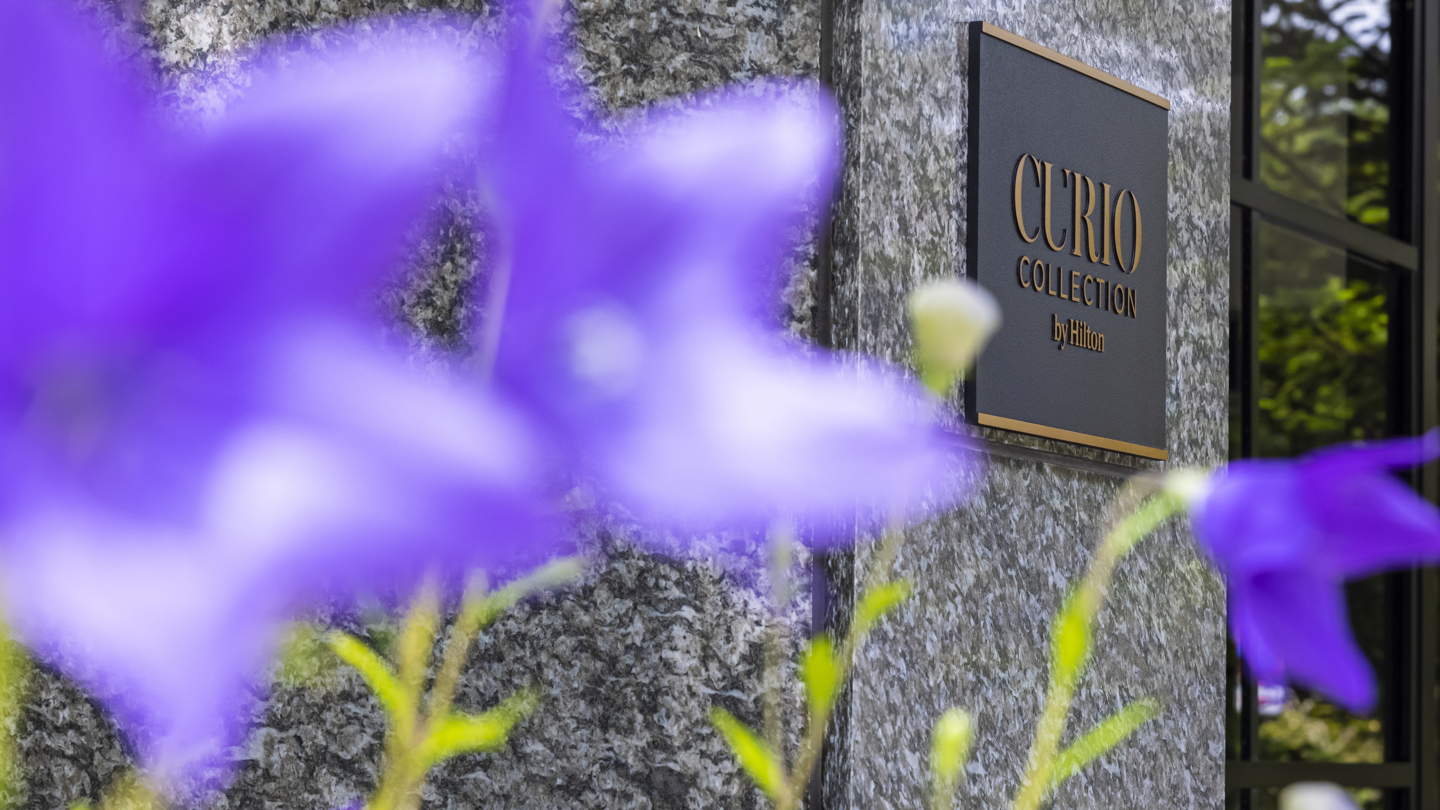 We look forward to welcoming you back to your hometown (KIKYO).