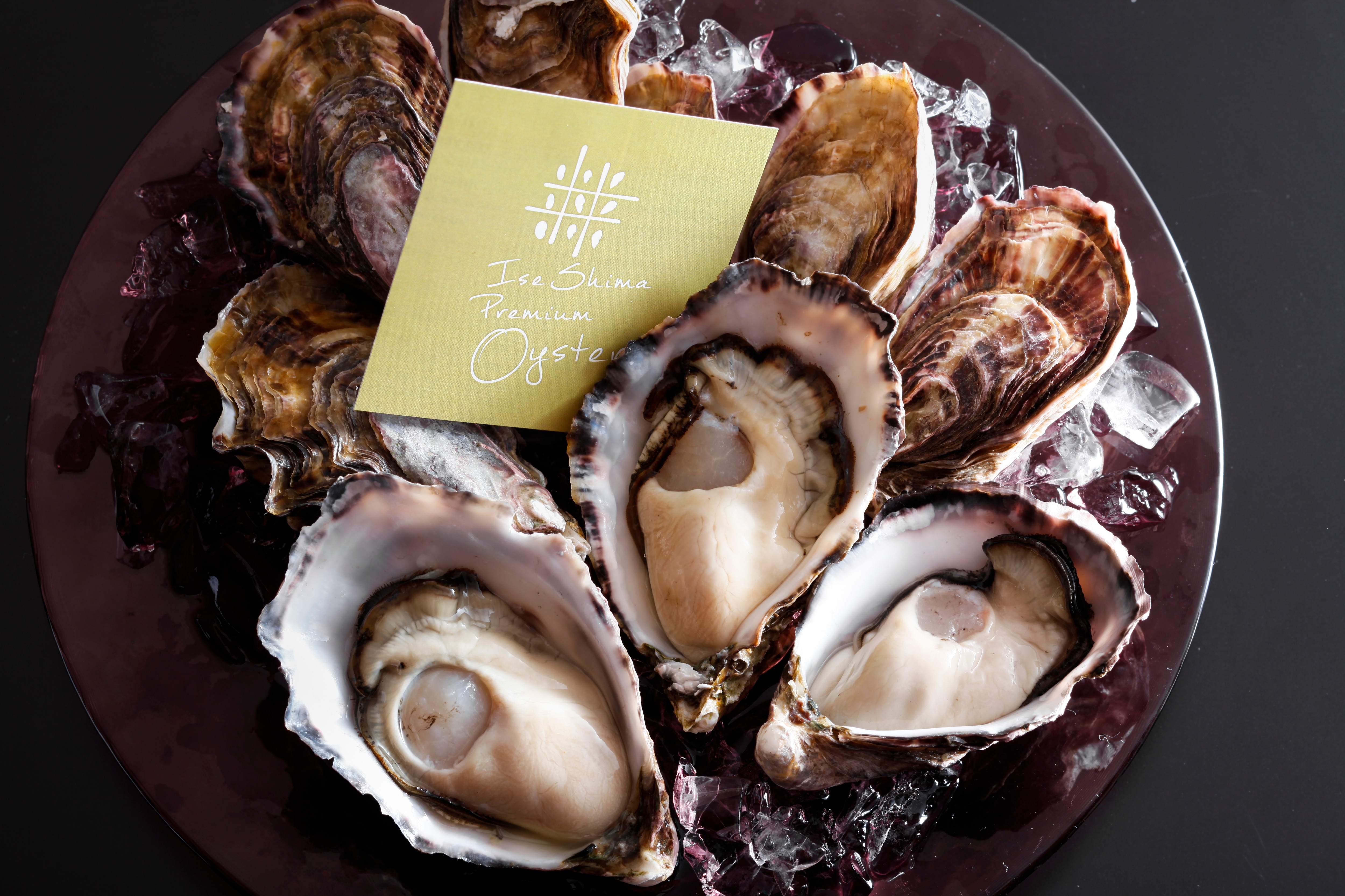 [Ise-Shima Premium Oysters] These oysters are packed with sweetness and flavor and can be eaten all year round.