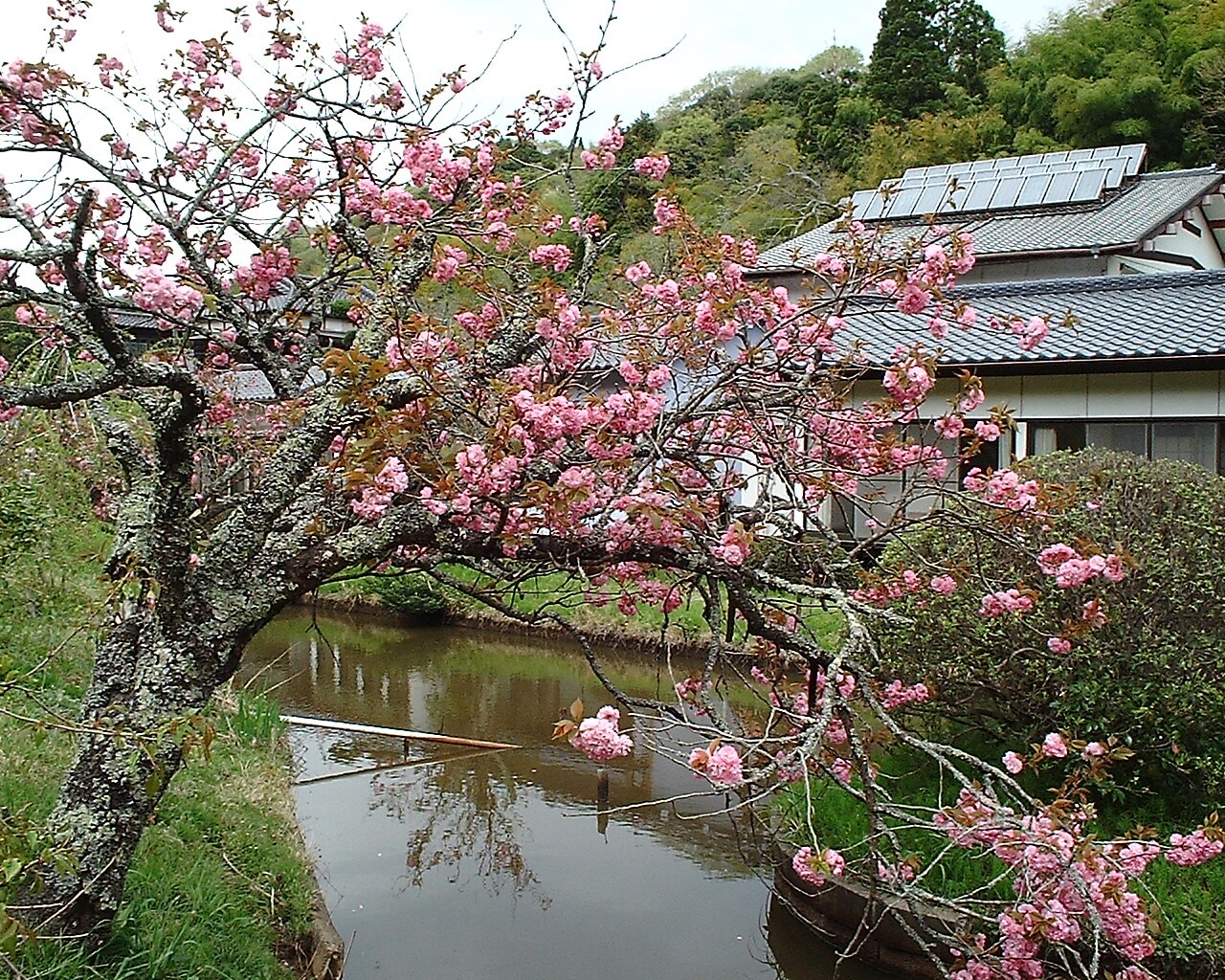 Garden scenery that changes with the seasons