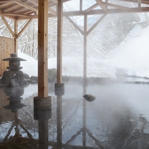 [Large Dragon: Winter]