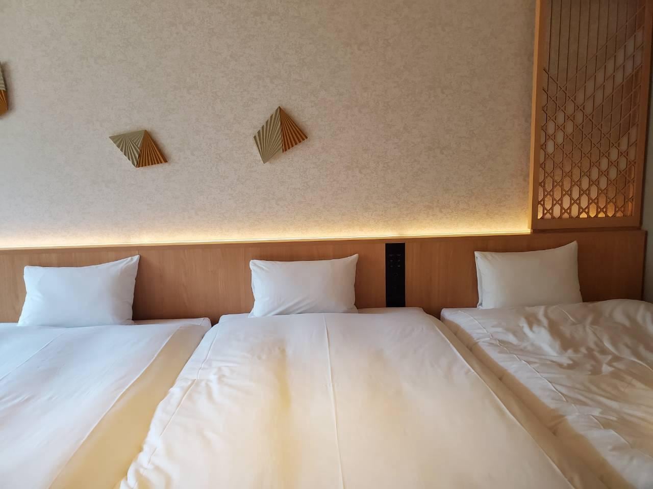 8774.jpg