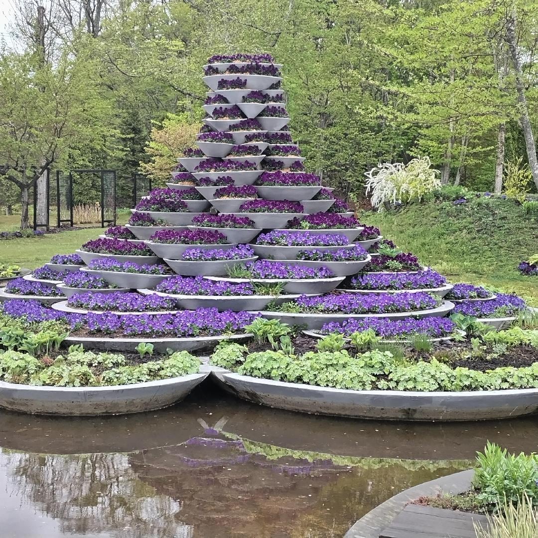 d3e684-d492-4776-b63d-697318f3835c-1_all_23451.jpg