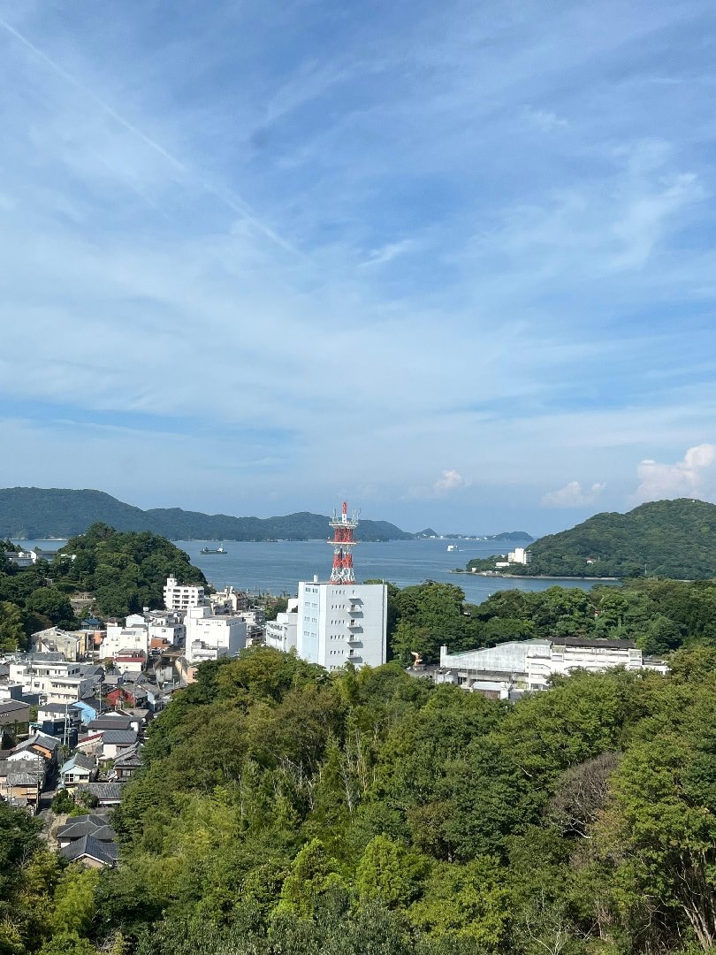IMG_6753.jpeg