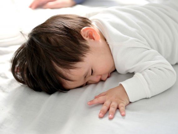 For those with babies, we recommend the Baby Plan.