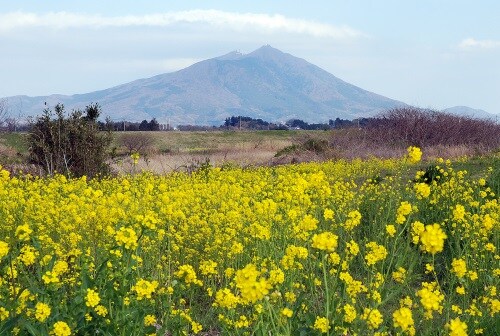 Mount Tsukuba